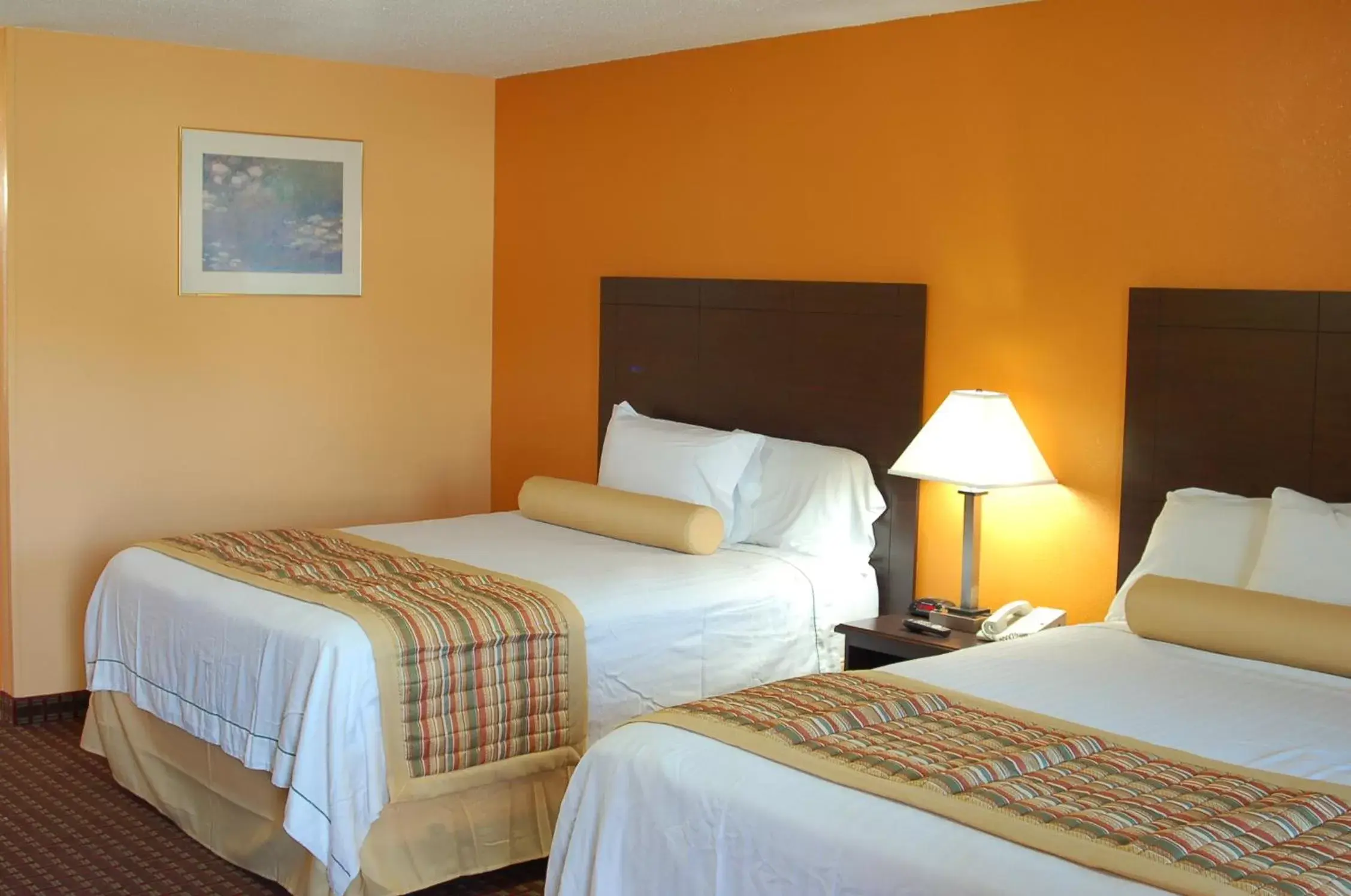 Bed in Budgetel Inn Glens Falls-Lake George-Saratoga