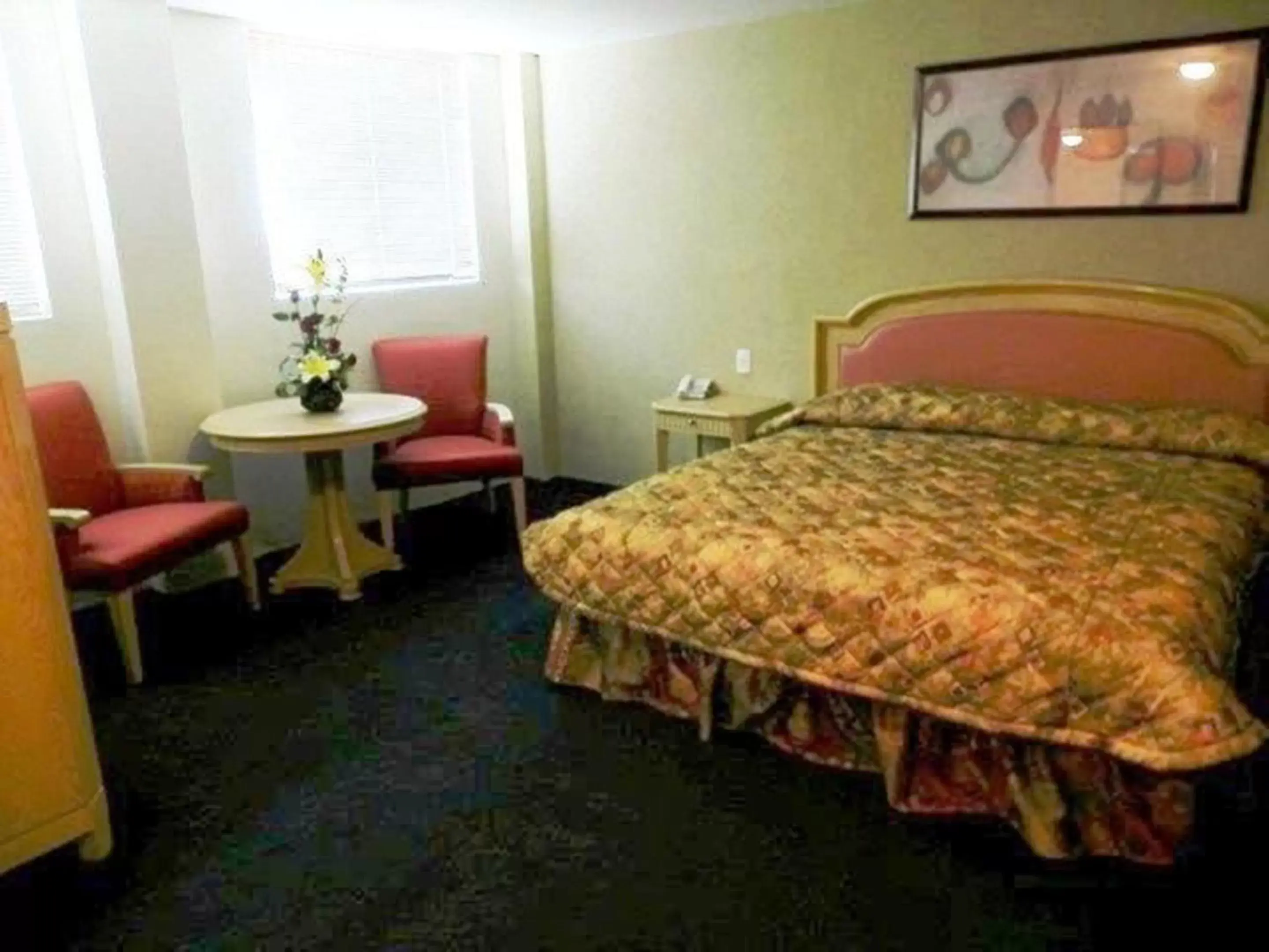 Day, Bed in Hotel San Francisco Irapuato Business Class Day, Bed in Hotel San Francisco Irapuato Business Class