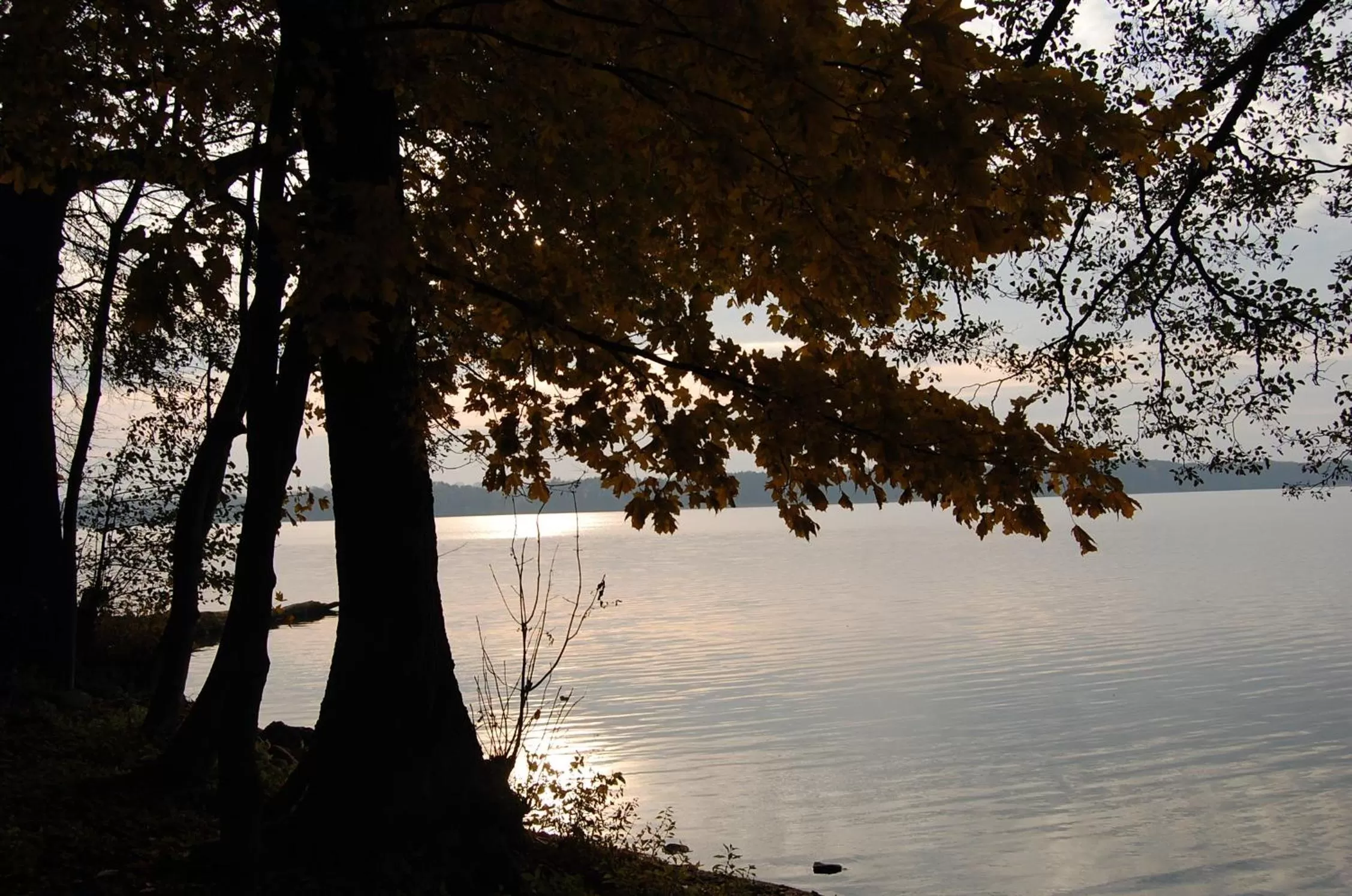 Hiking in Przystanek Czapla