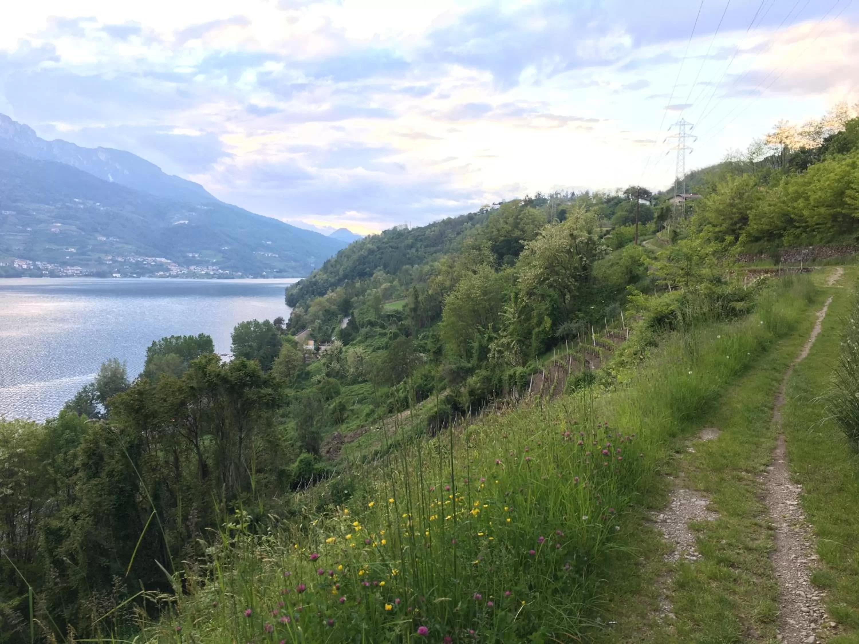 Nearby landmark in Agritur Airone Bed & Camping