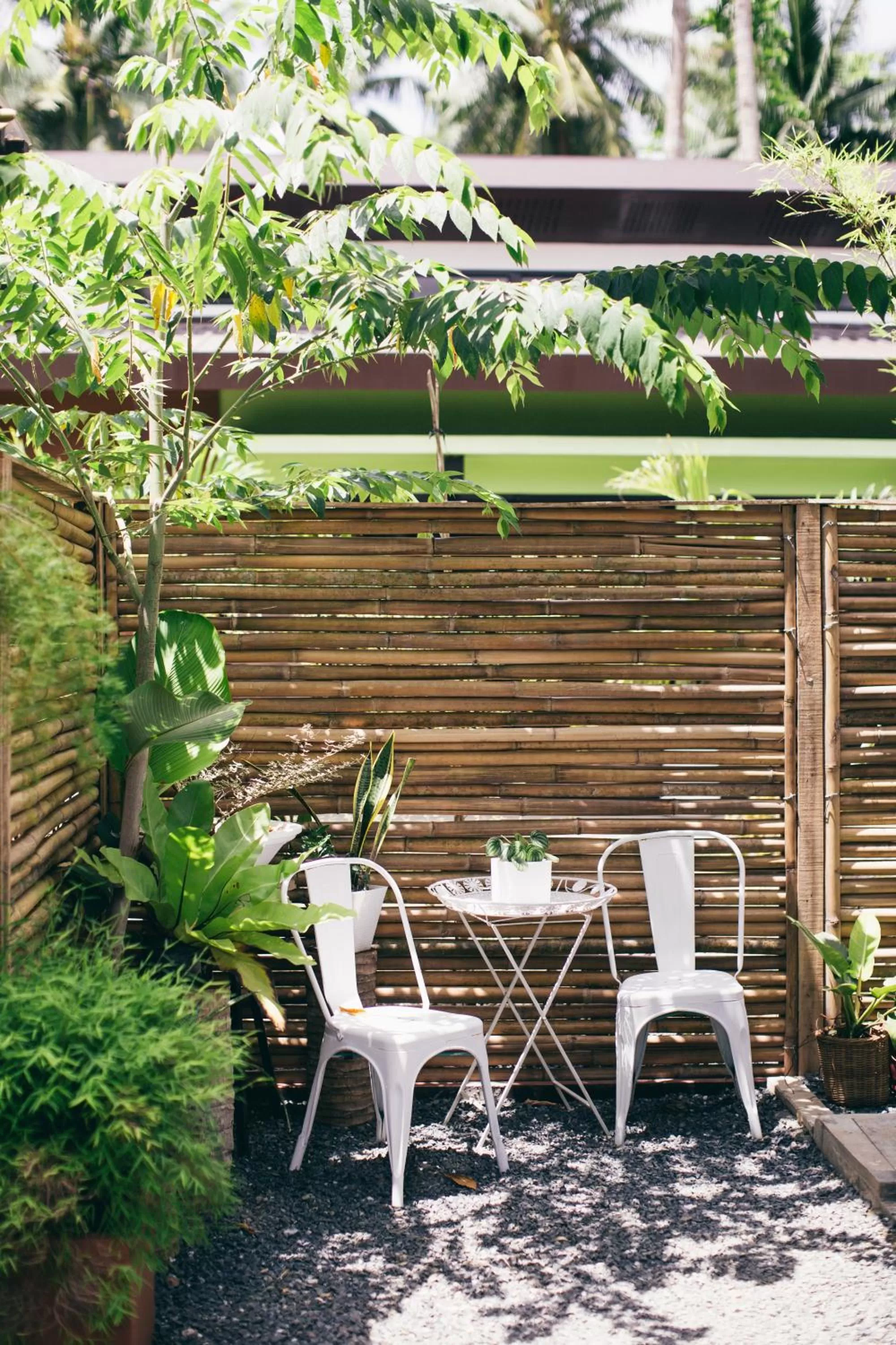 Patio in Summer Days