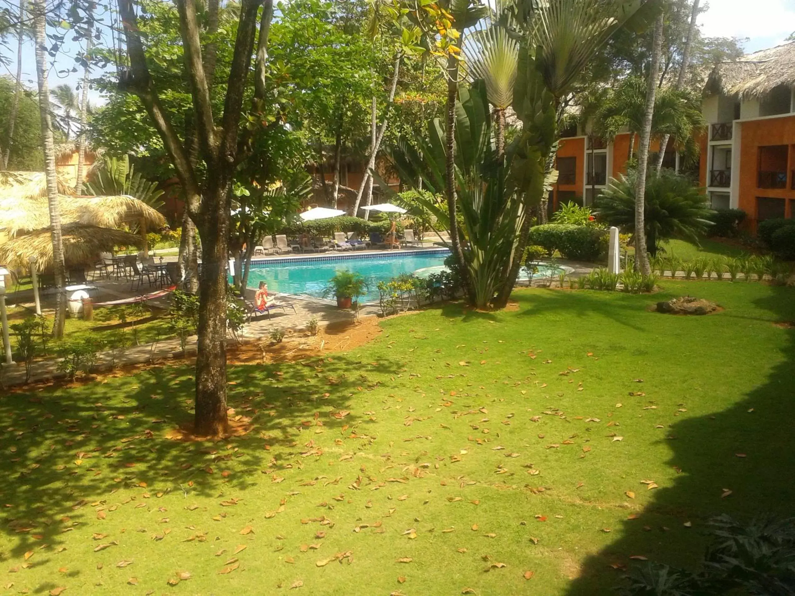 Garden, Swimming Pool in La Residencia del Paseo