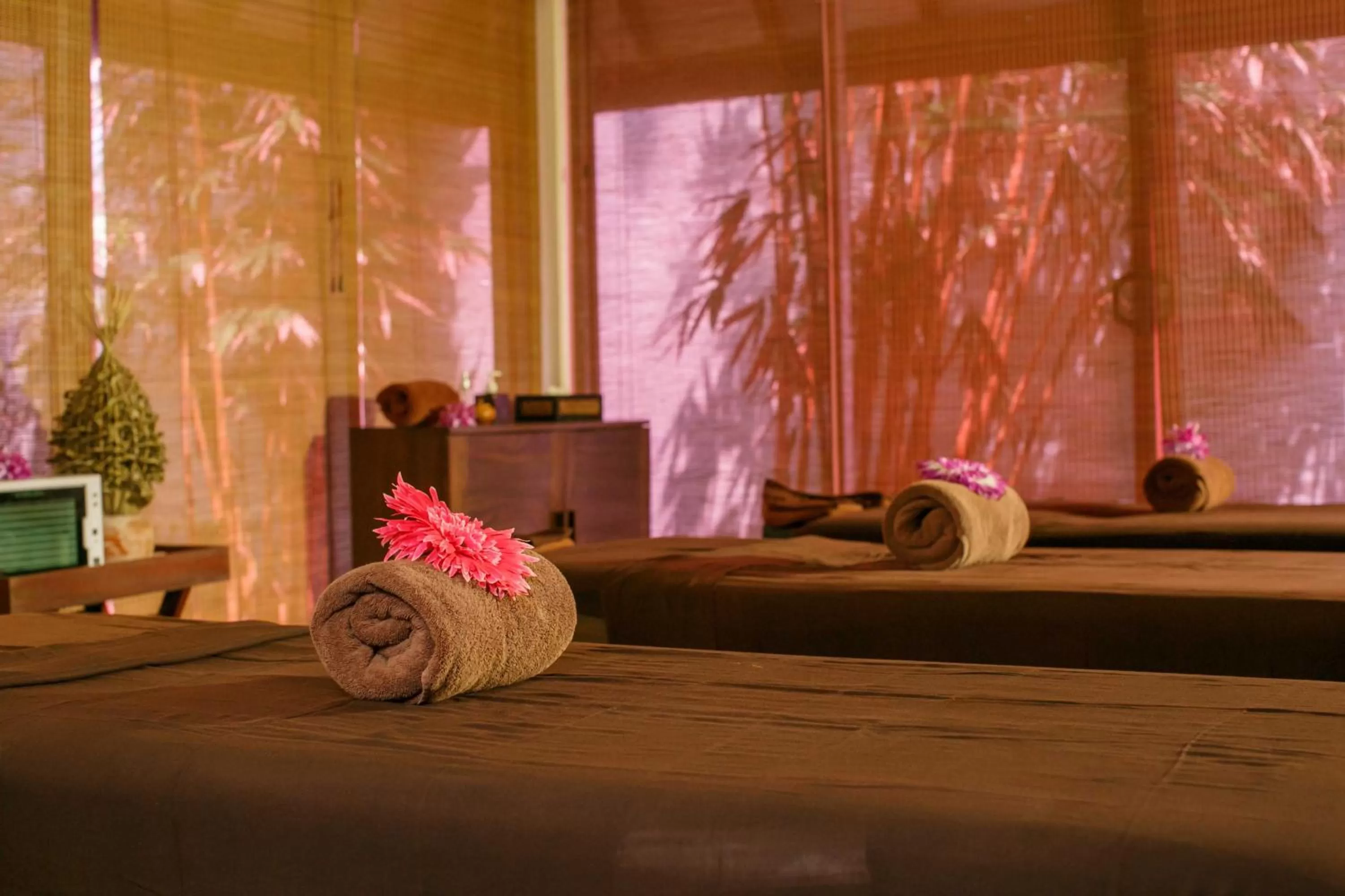 Spa and wellness centre/facilities in Citrus Waskaduwa