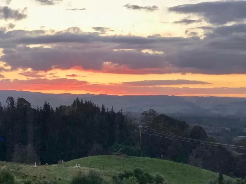 Natural landscape in Arohanui Rural Retreat B&B