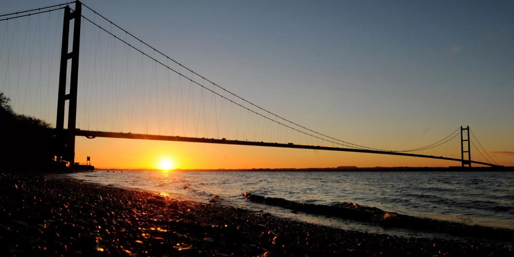 Activities in The Whittington and Cat