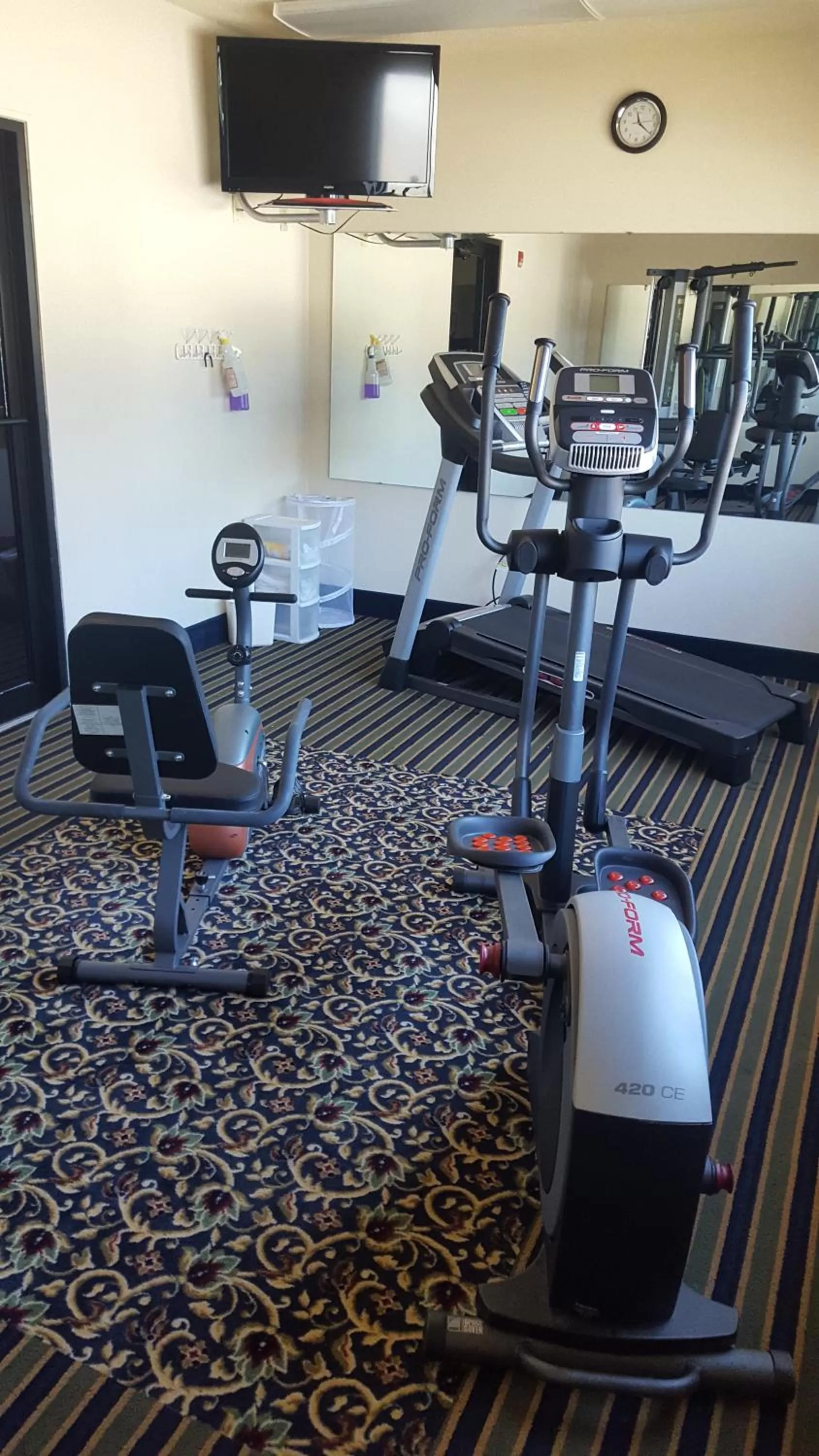 Fitness centre/facilities in The Rutledge Inn