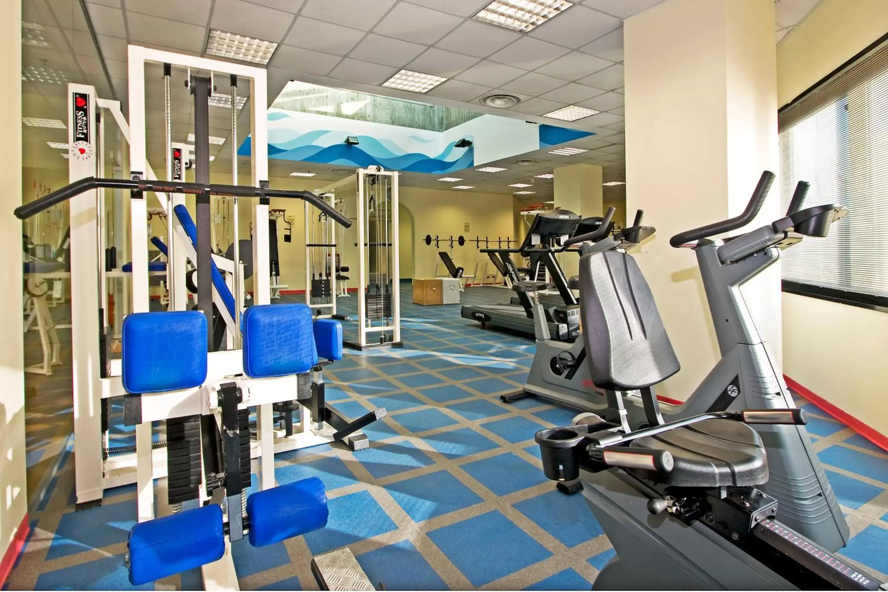 Fitness centre/facilities, Fitness Center/Facilities in Tower Genova Airport - Hotel & Conference Center