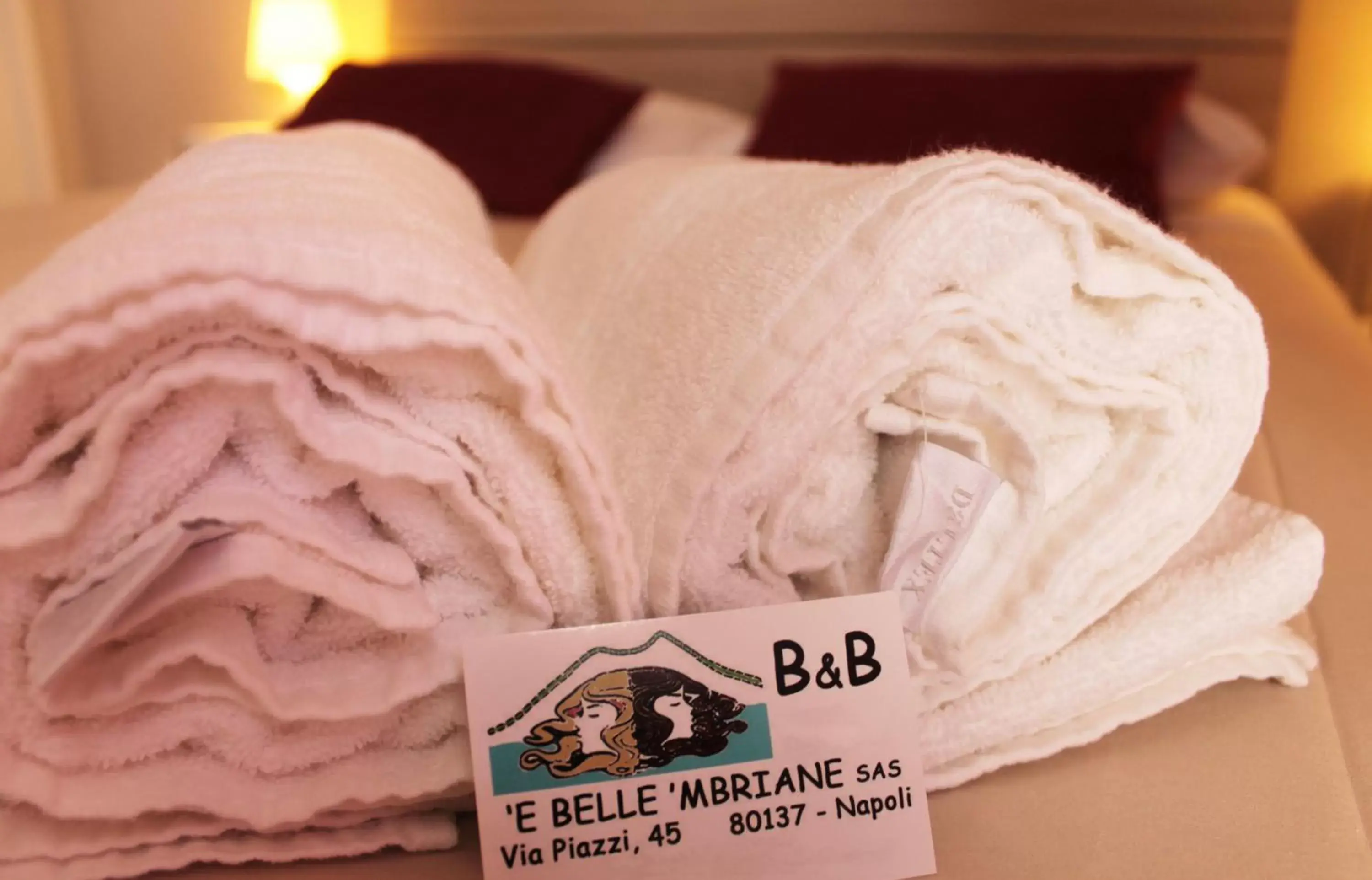 Logo/Certificate/Sign in Vesuviane 'E Belle 'Mbriane B&B