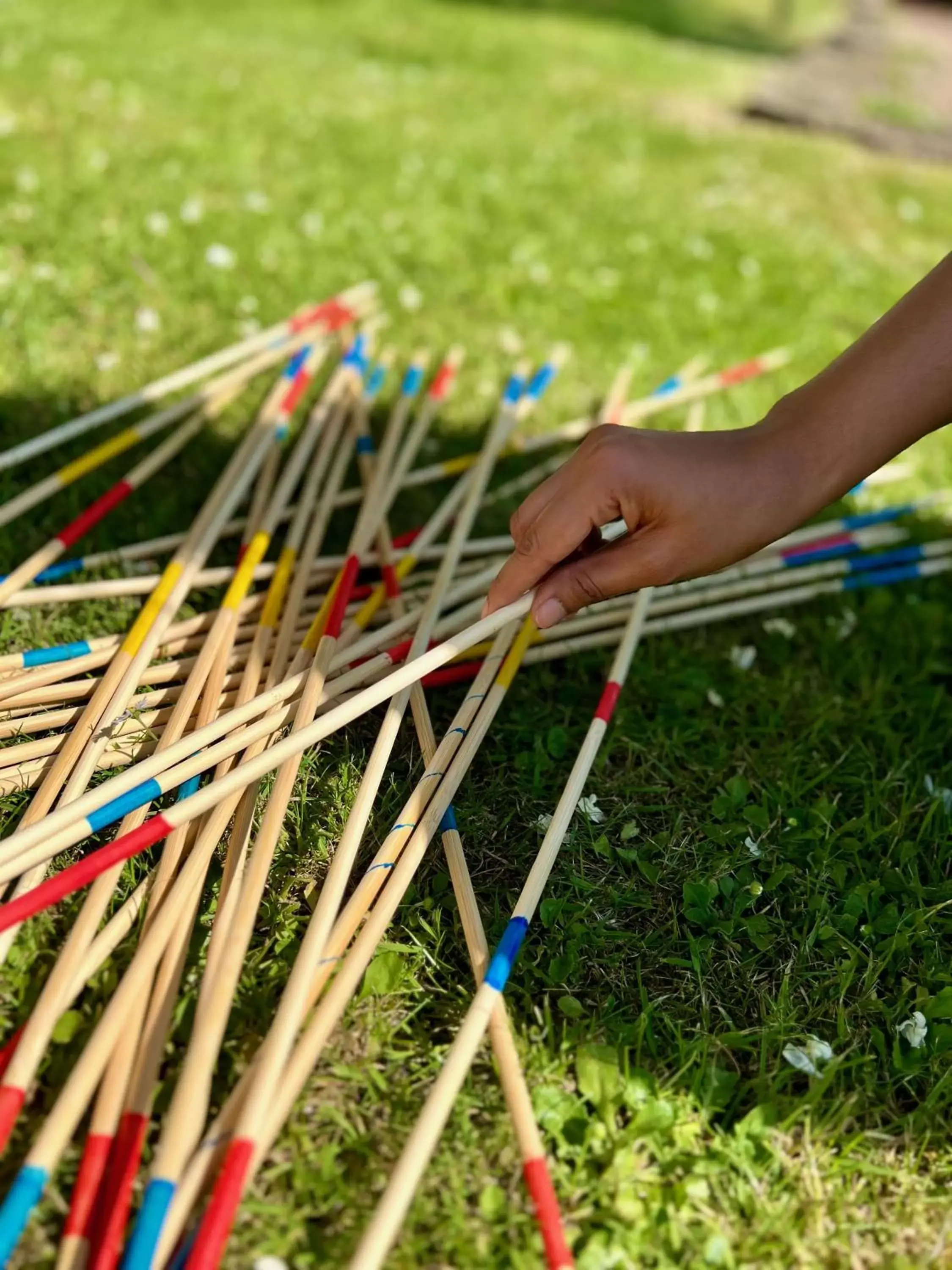 Children play ground, Other Animals in Hôtel Novotel Valenciennes