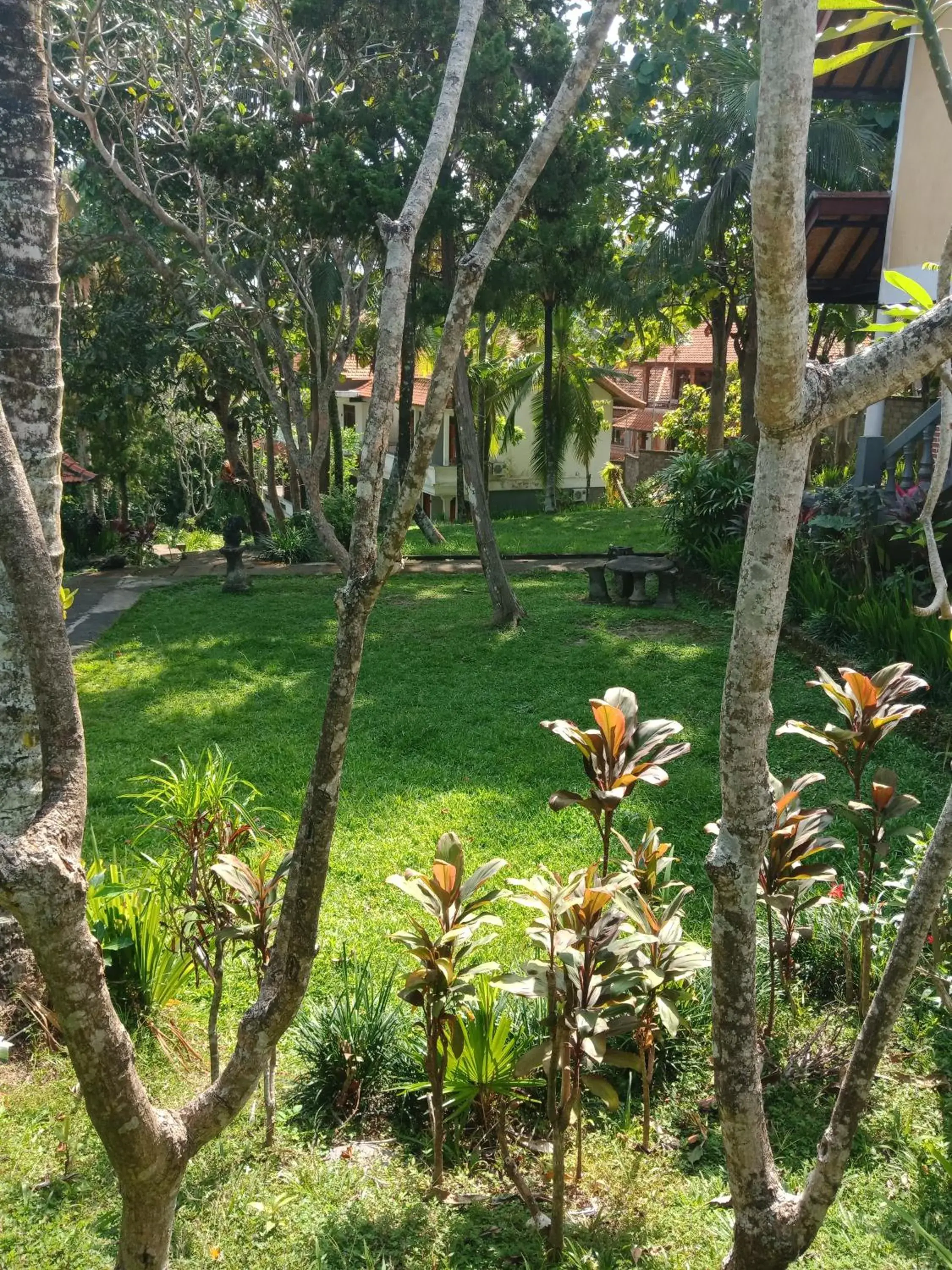 Garden in Argasoka Bungalows