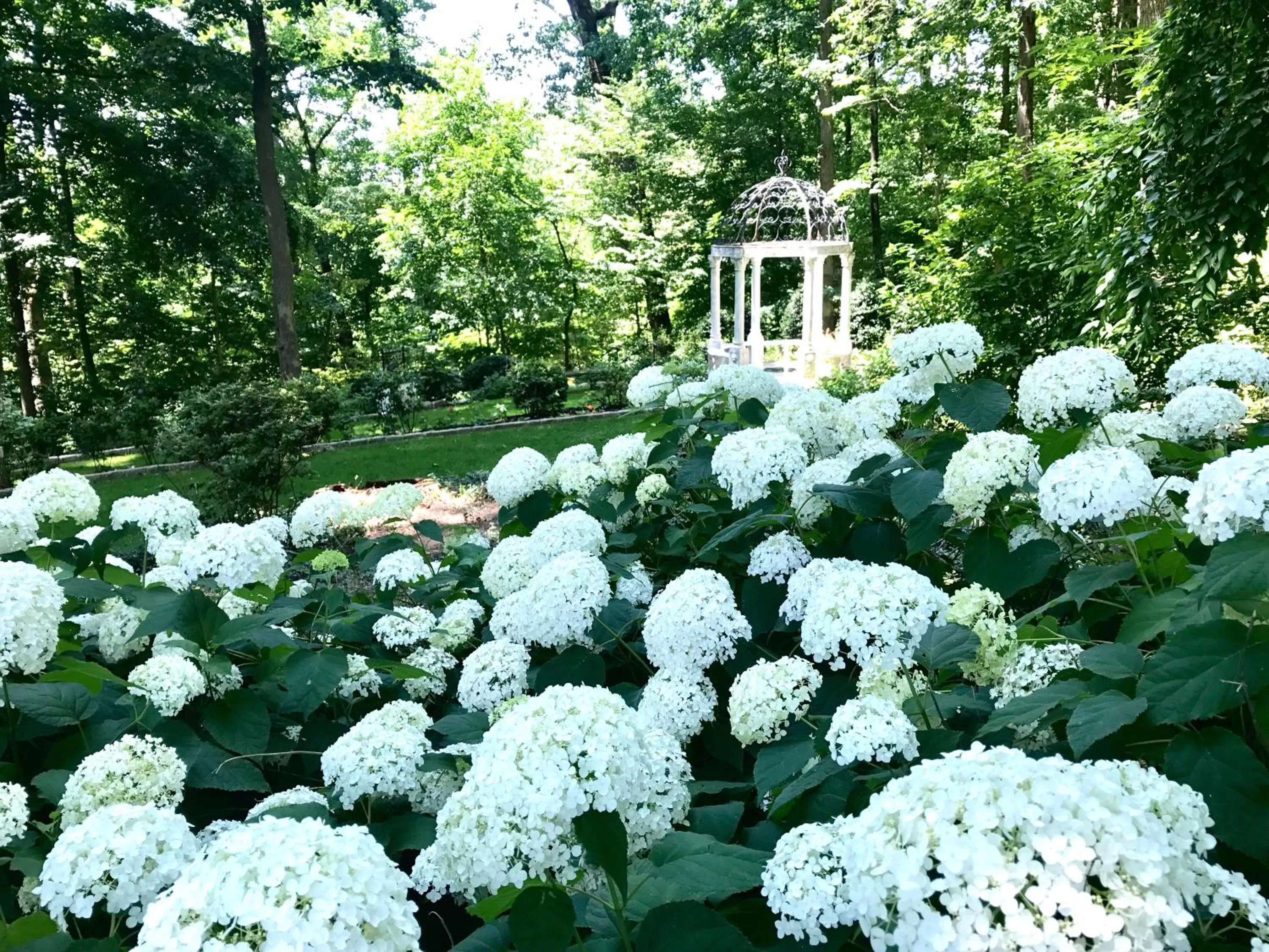 Garden in Gramercy Mansion