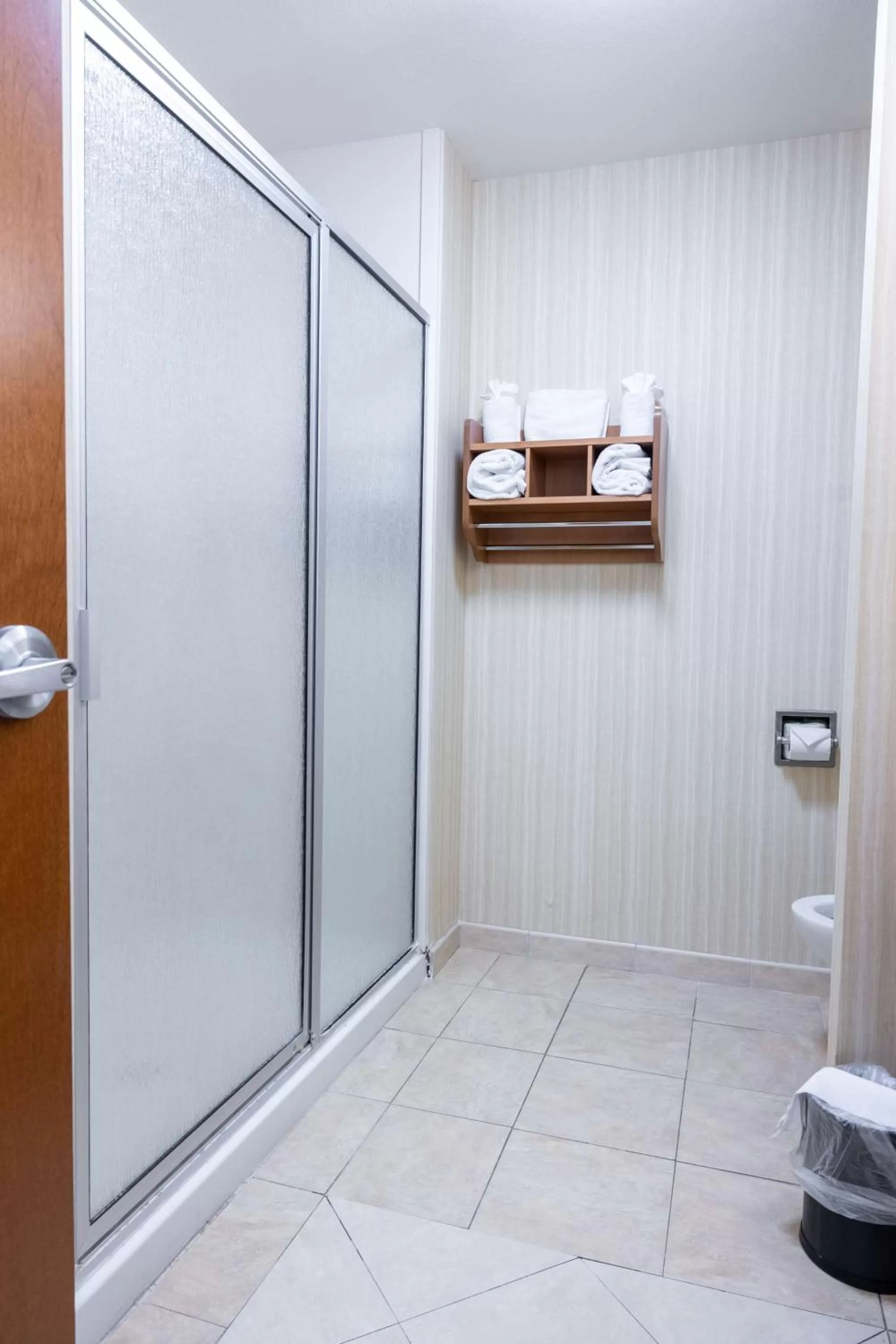 Bathroom in Hampton Inn Alice