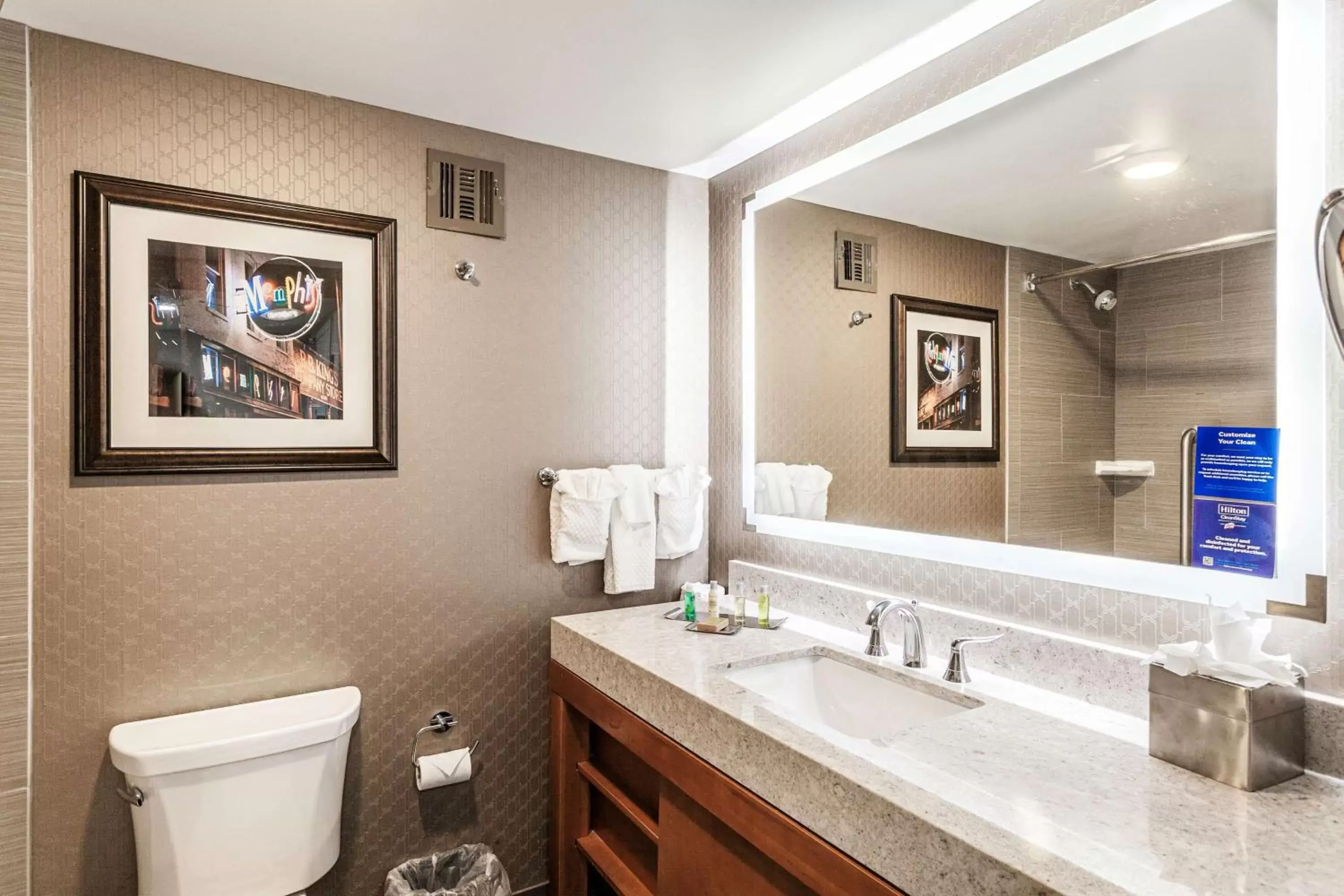 Bathroom in DoubleTree by Hilton Memphis
