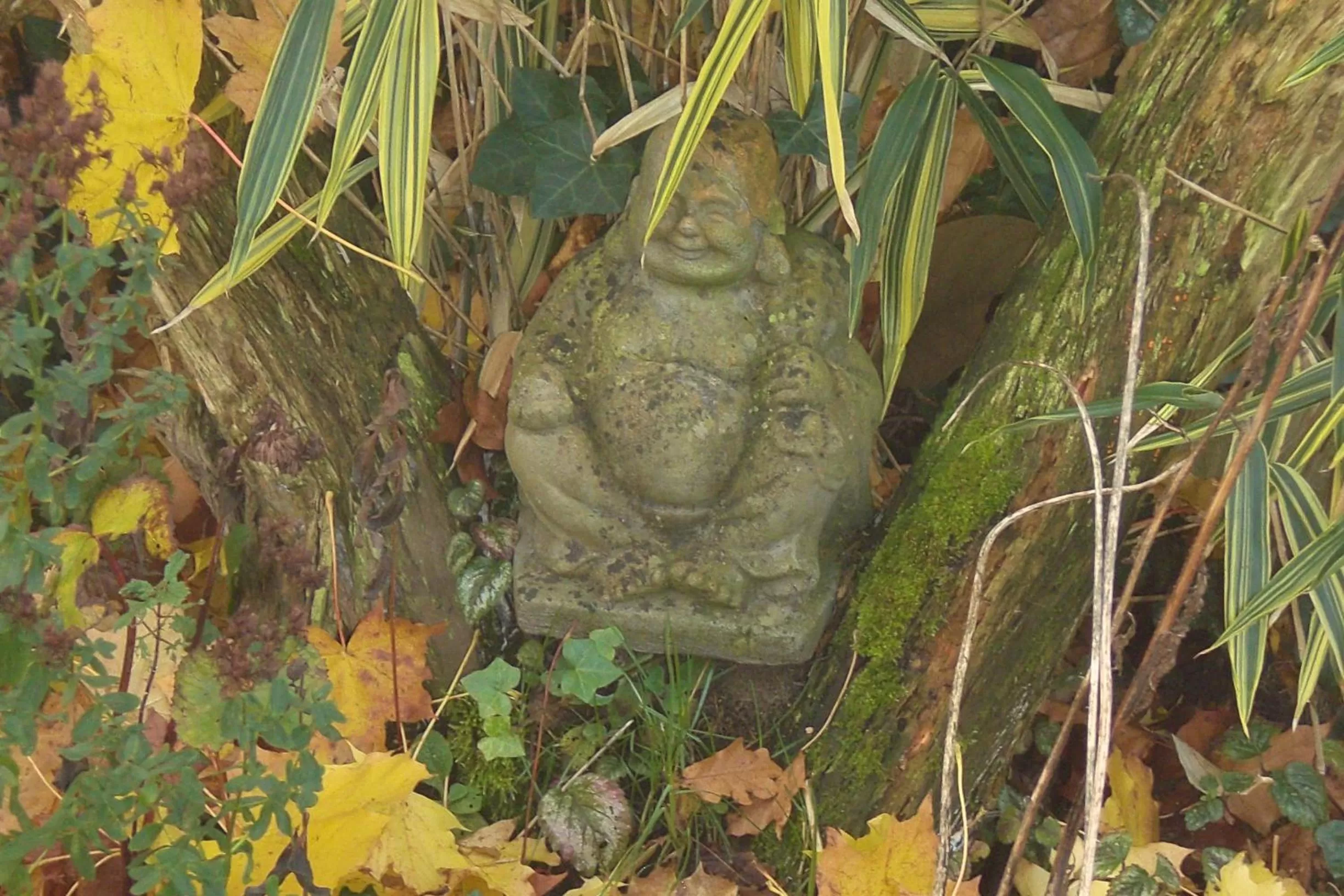 Day in B&B De Slaperije