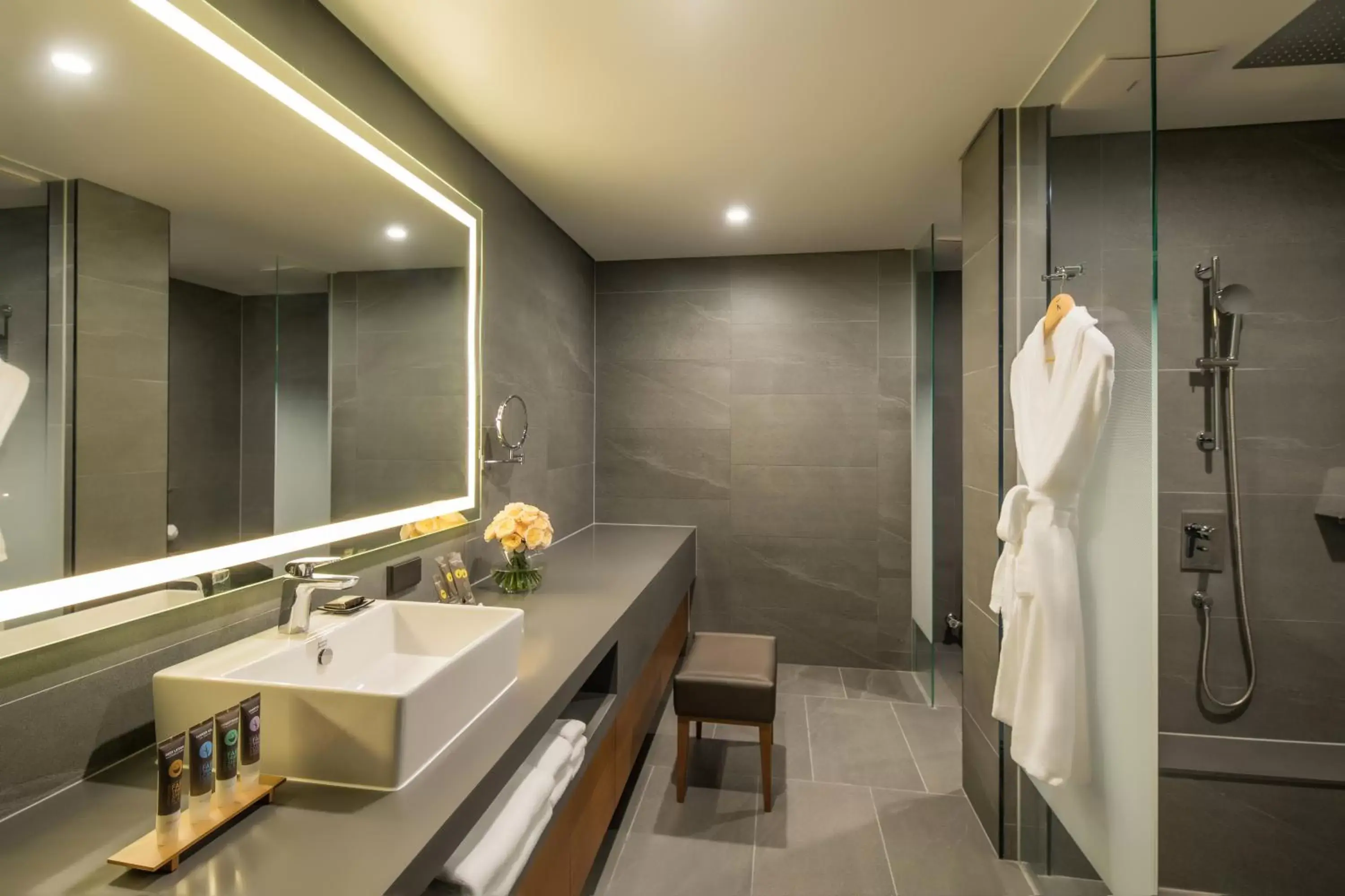 Shower, Bathroom in Novotel Ambassador Seoul Dongdaemun Hotels & Residences