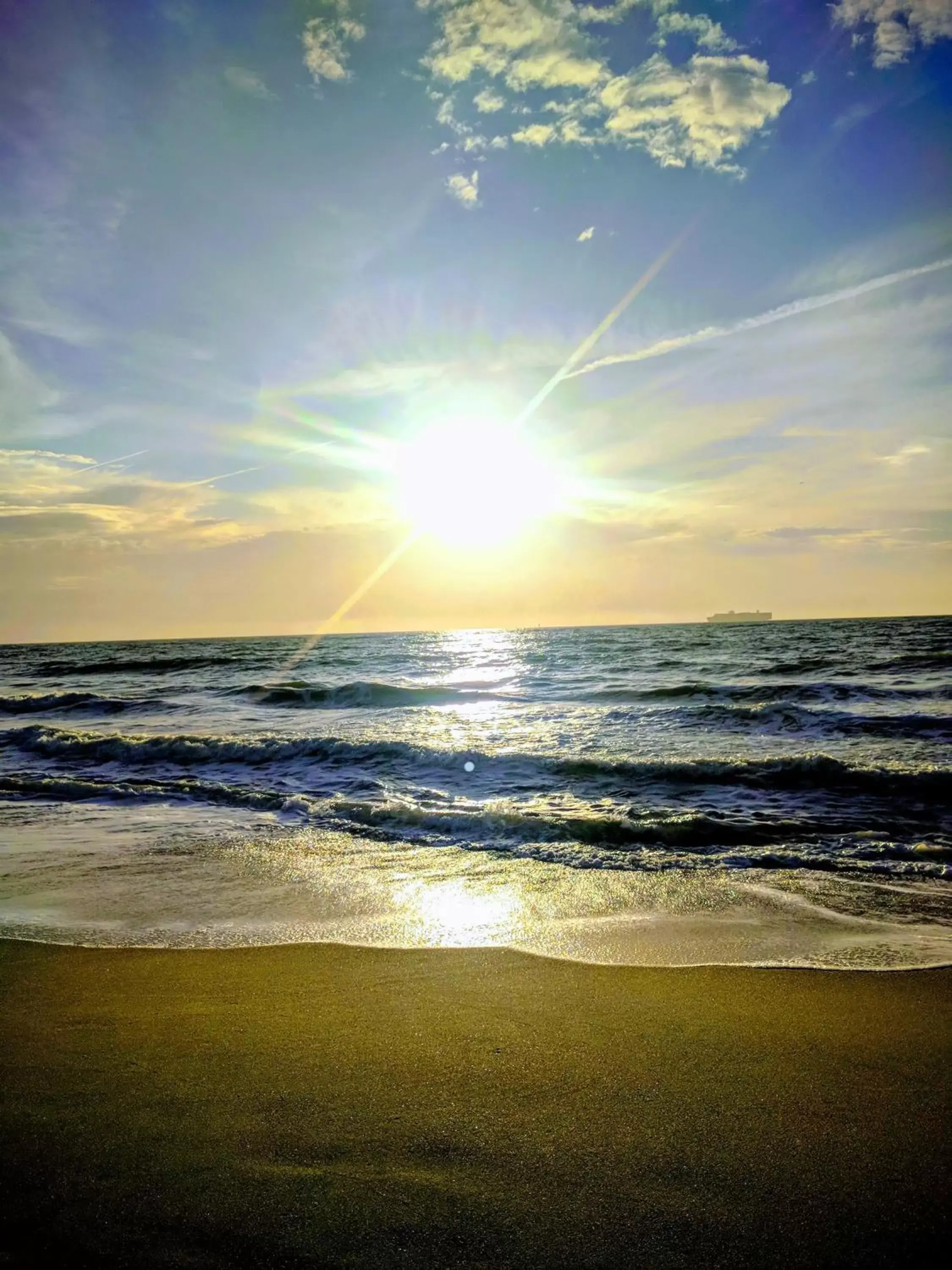 Beach in Hotel Tybee