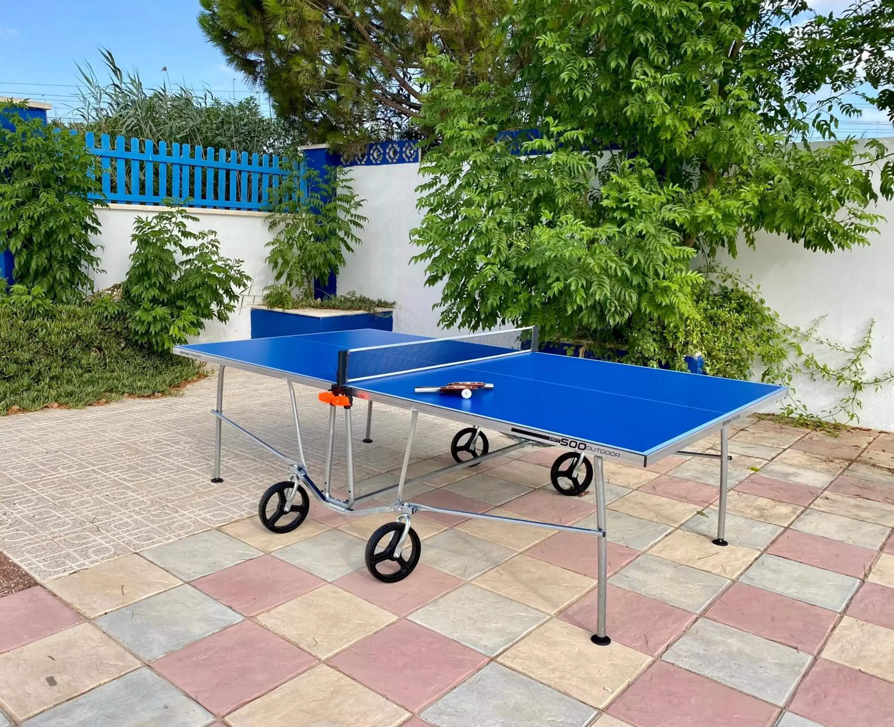Sports, Table Tennis in B&B Casa Azul