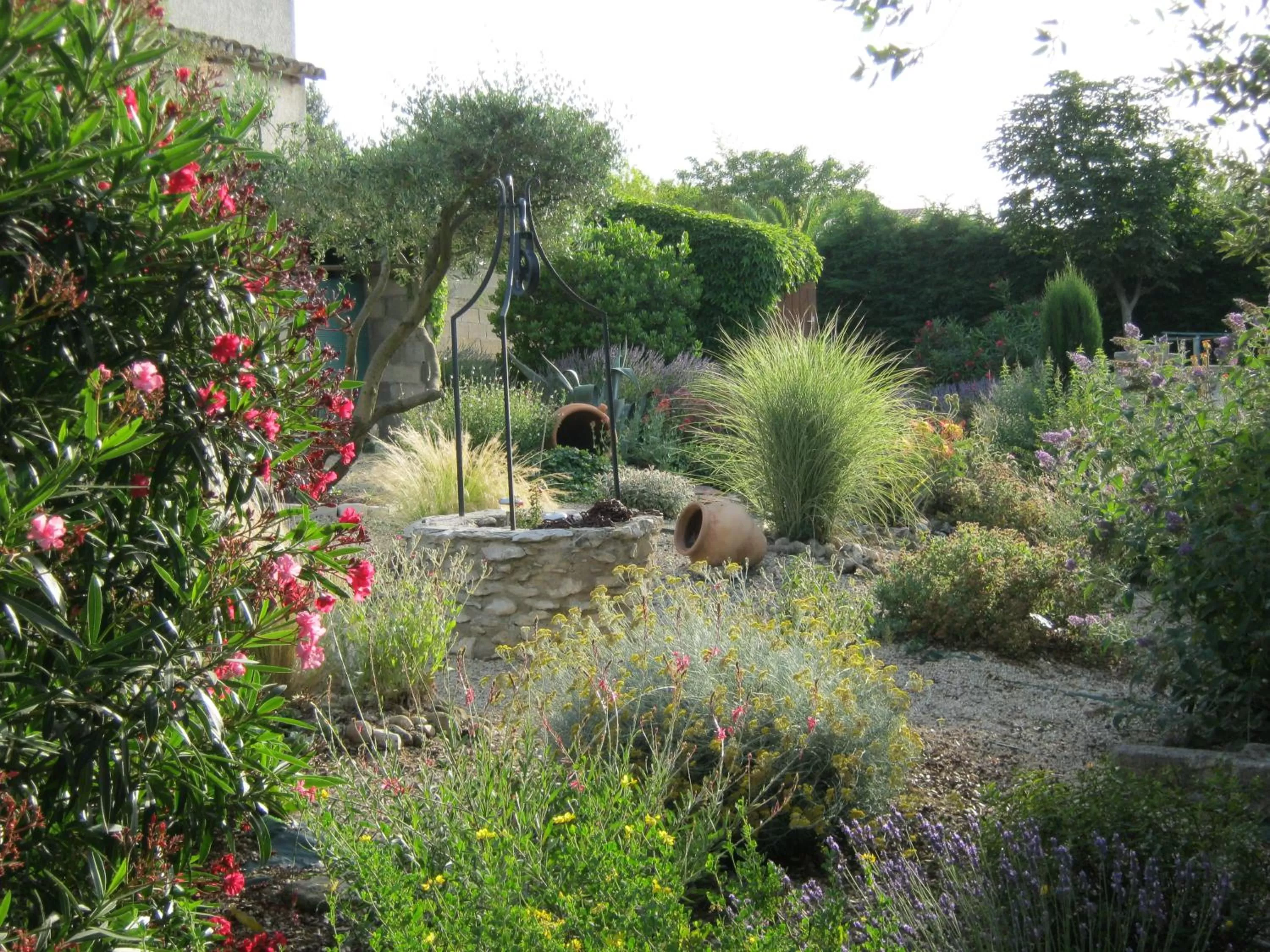 Garden in chambre d'hotes les cigales