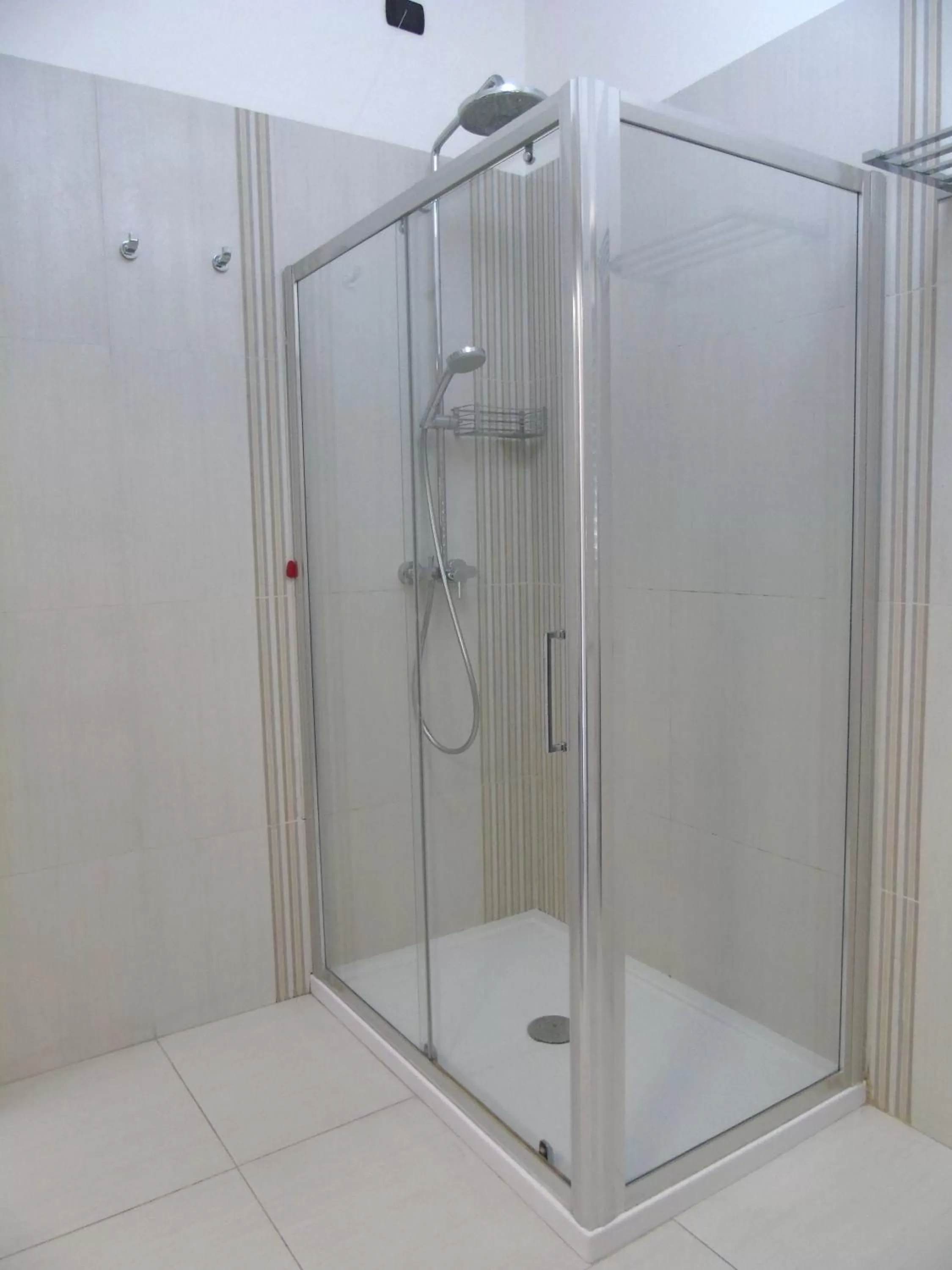 Shower in Areté Luxury Room