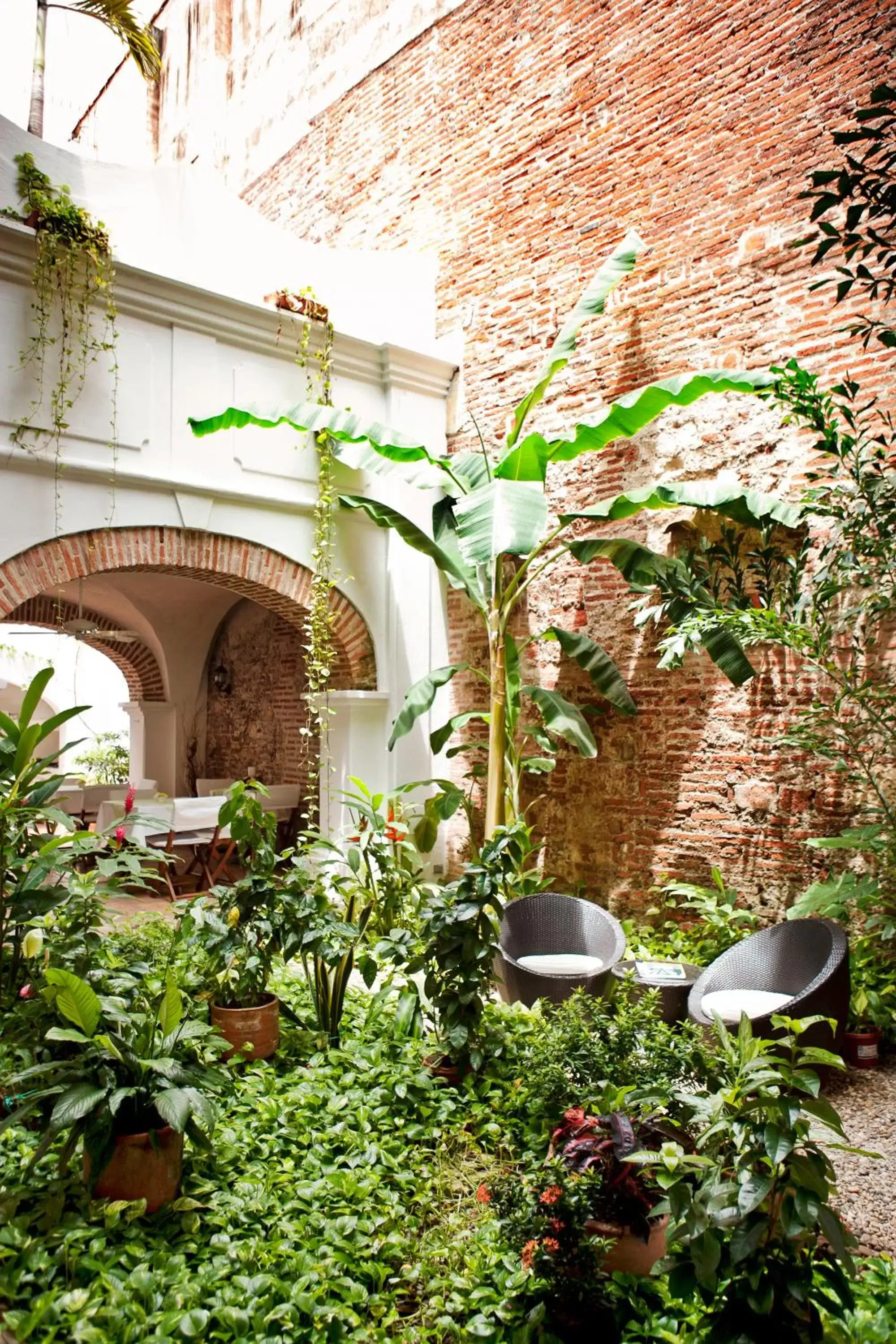 Garden in Alfiz Hotel