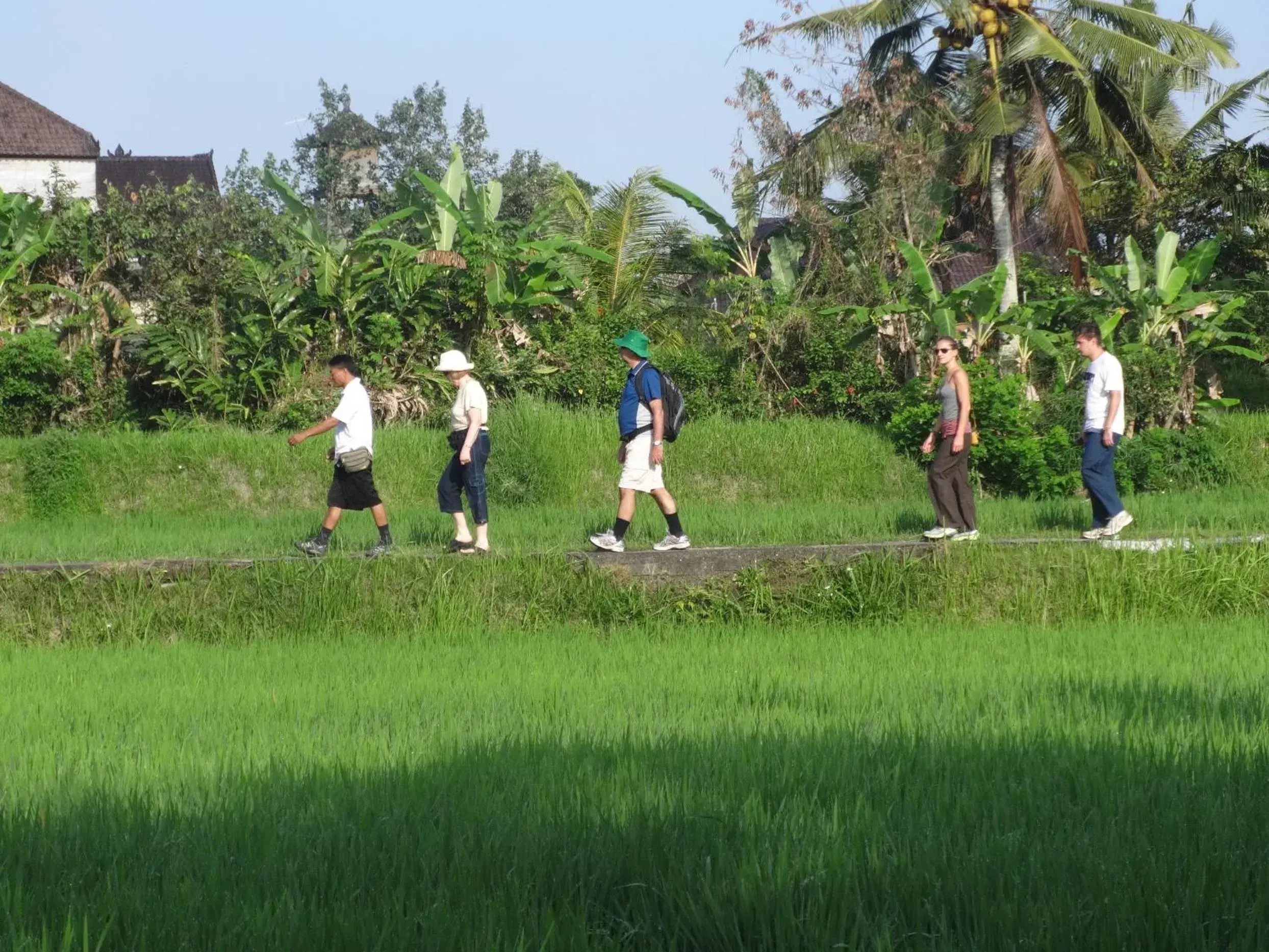 Bird's eye view in The Sungu Resort & Spa