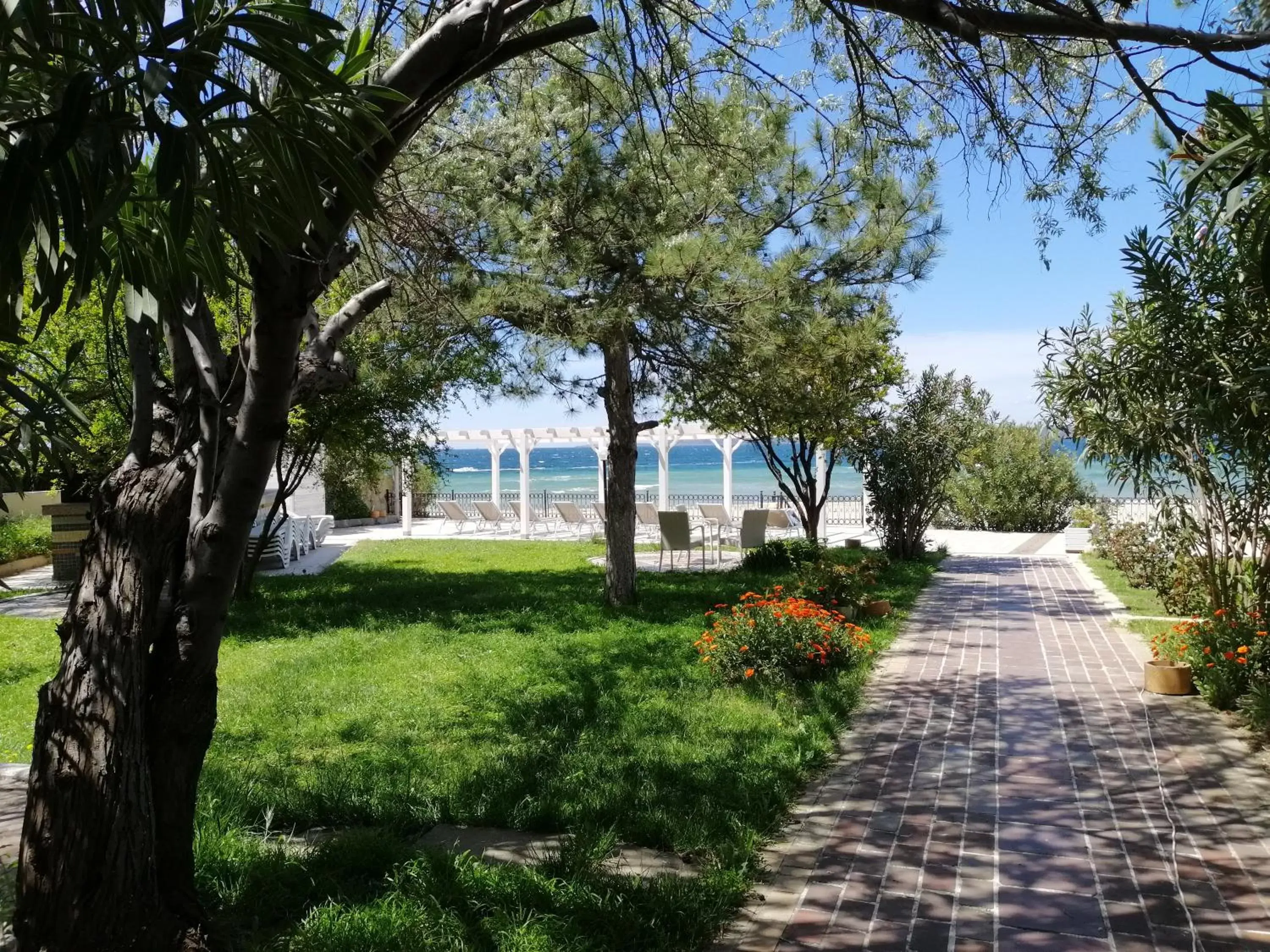 Garden in Iris Hotel