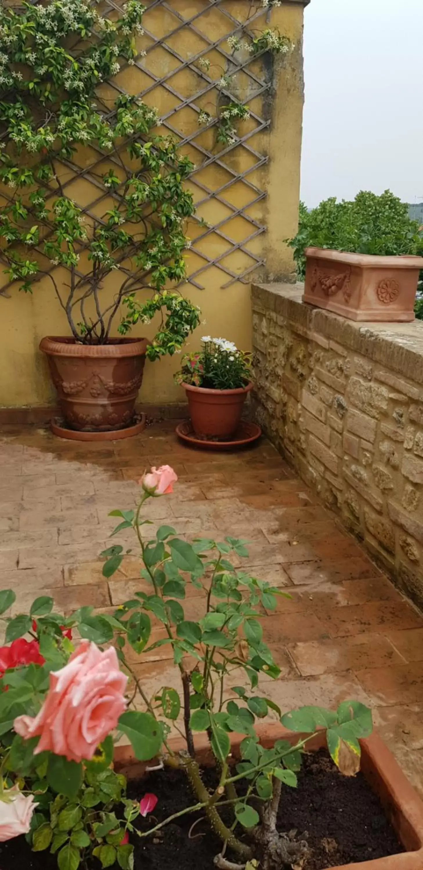 Balcony/Terrace in B&B Palazzo Al Torrione 2