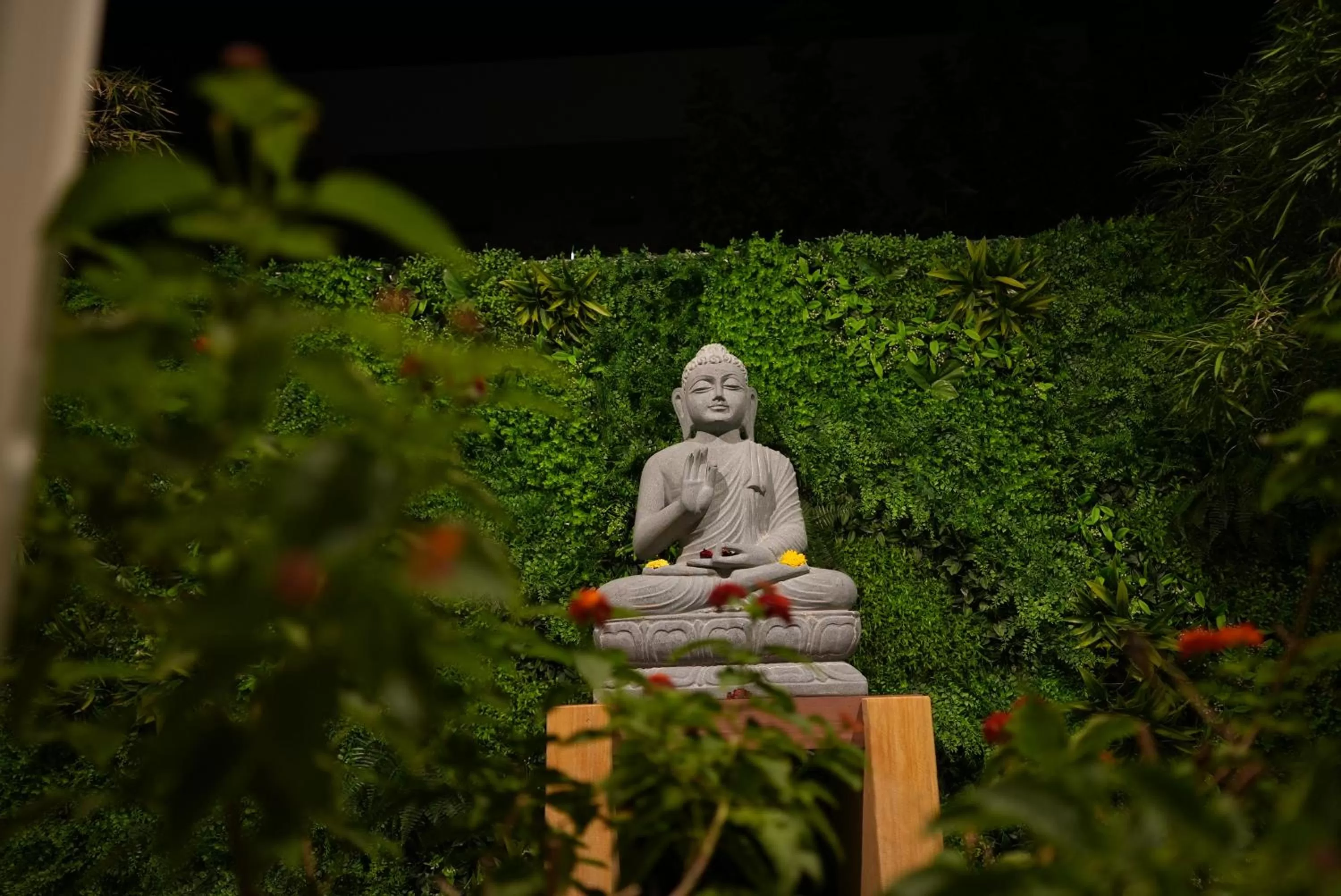 Night in Eden Park Boutique Hotel