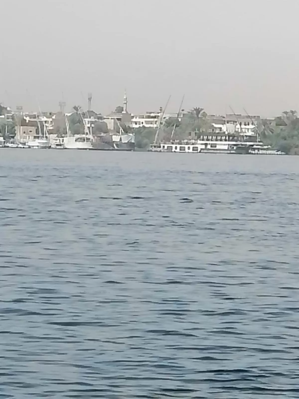 Windsor Hotel Luxor 中國人之家