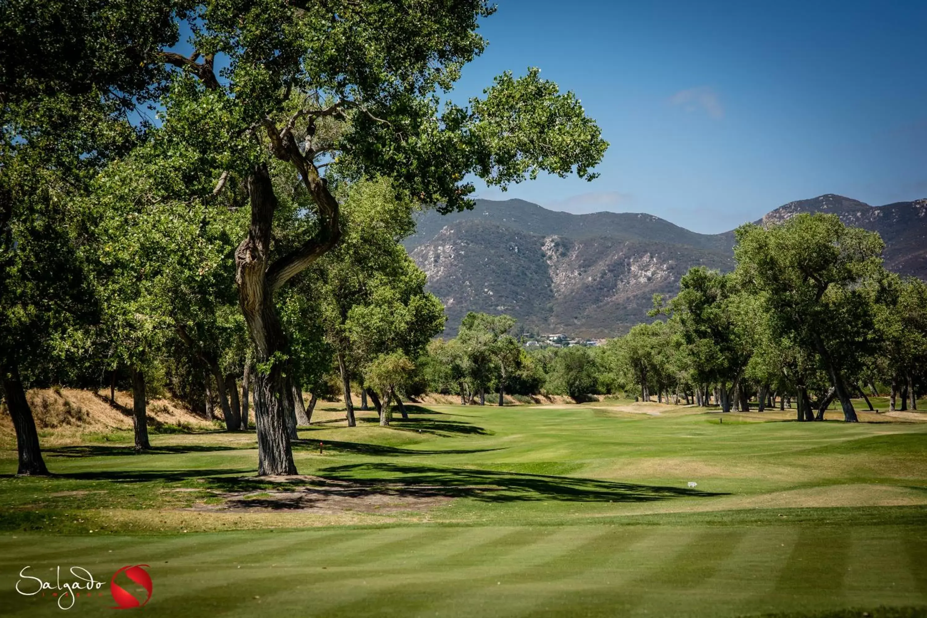 Day, Golf in Carlton Oaks Lodge, Ascend Hotel Collection