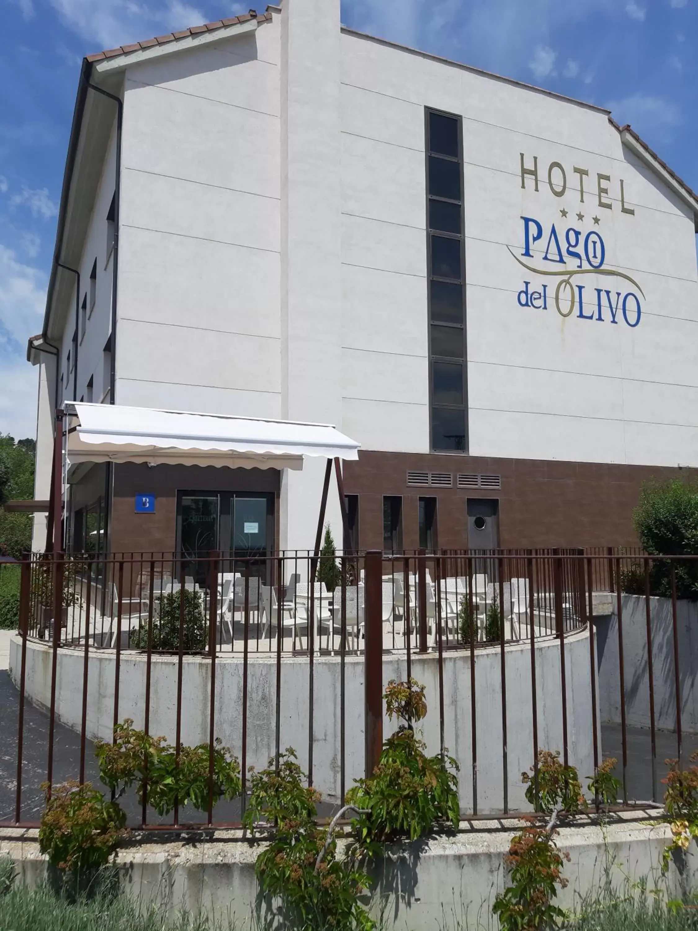 Area and facilities, Property Building in Hotel Pago del Olivo