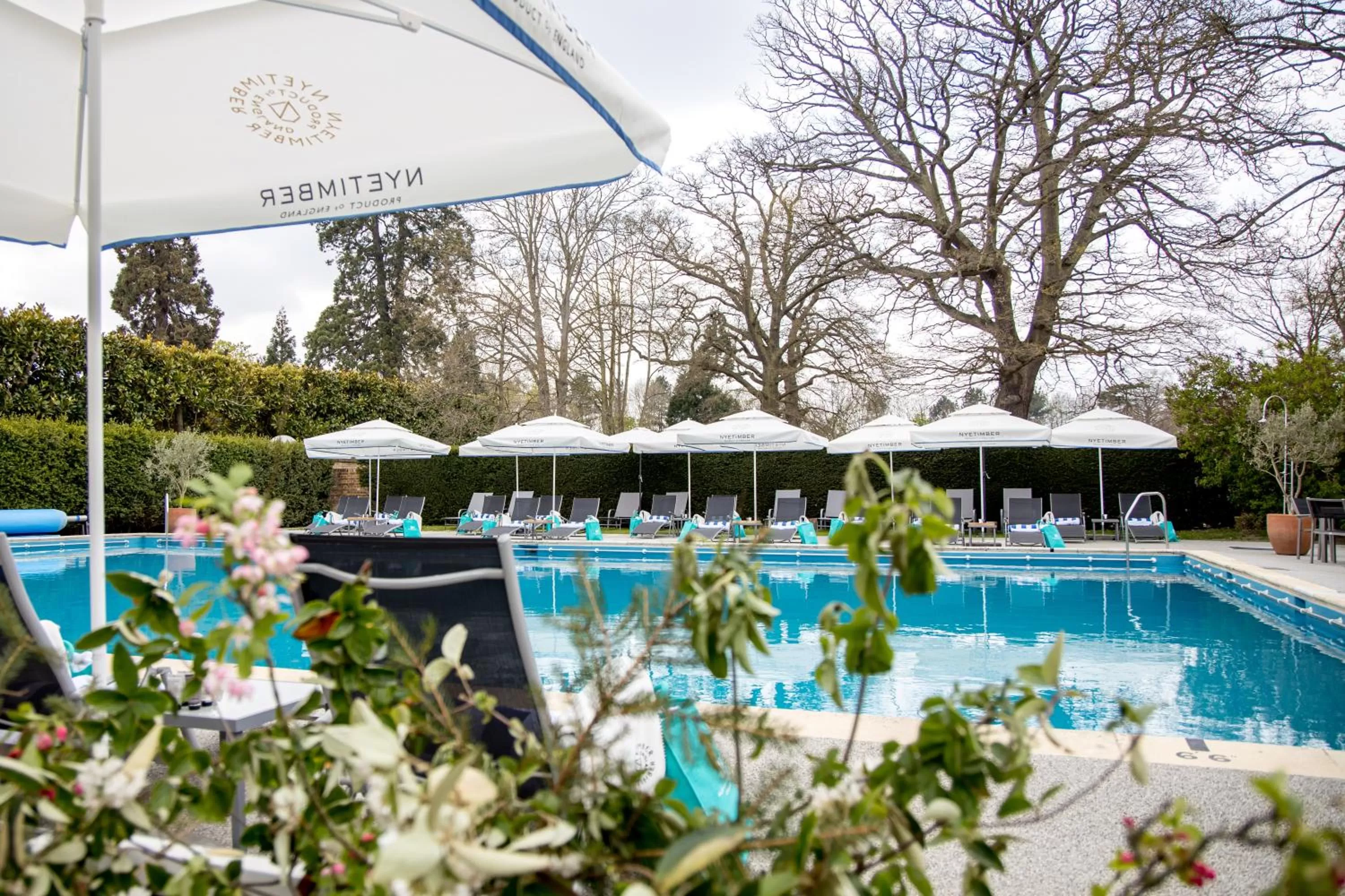 Summer in Great Fosters - Near Windsor