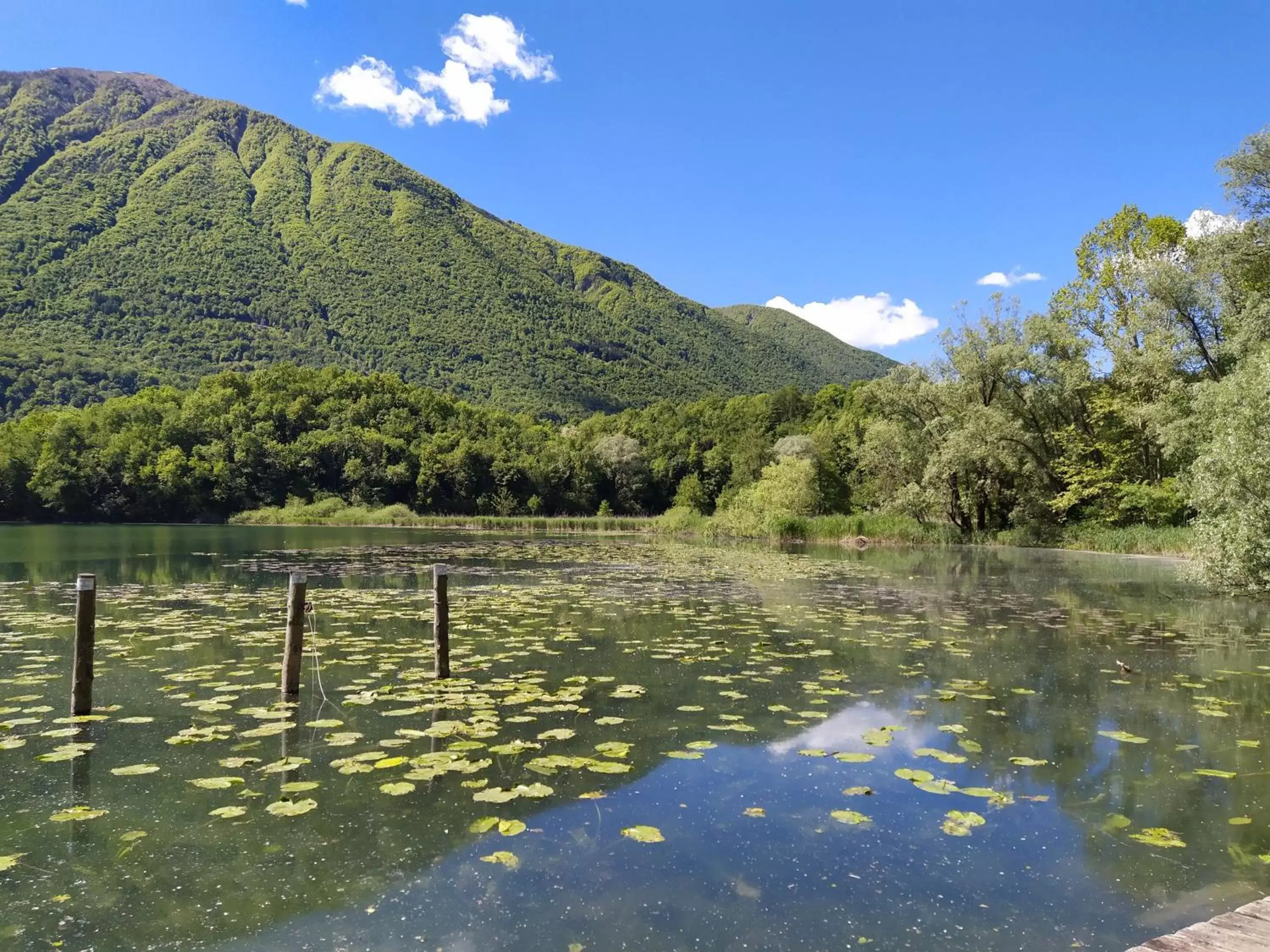 Natural landscape in B&B Peonia