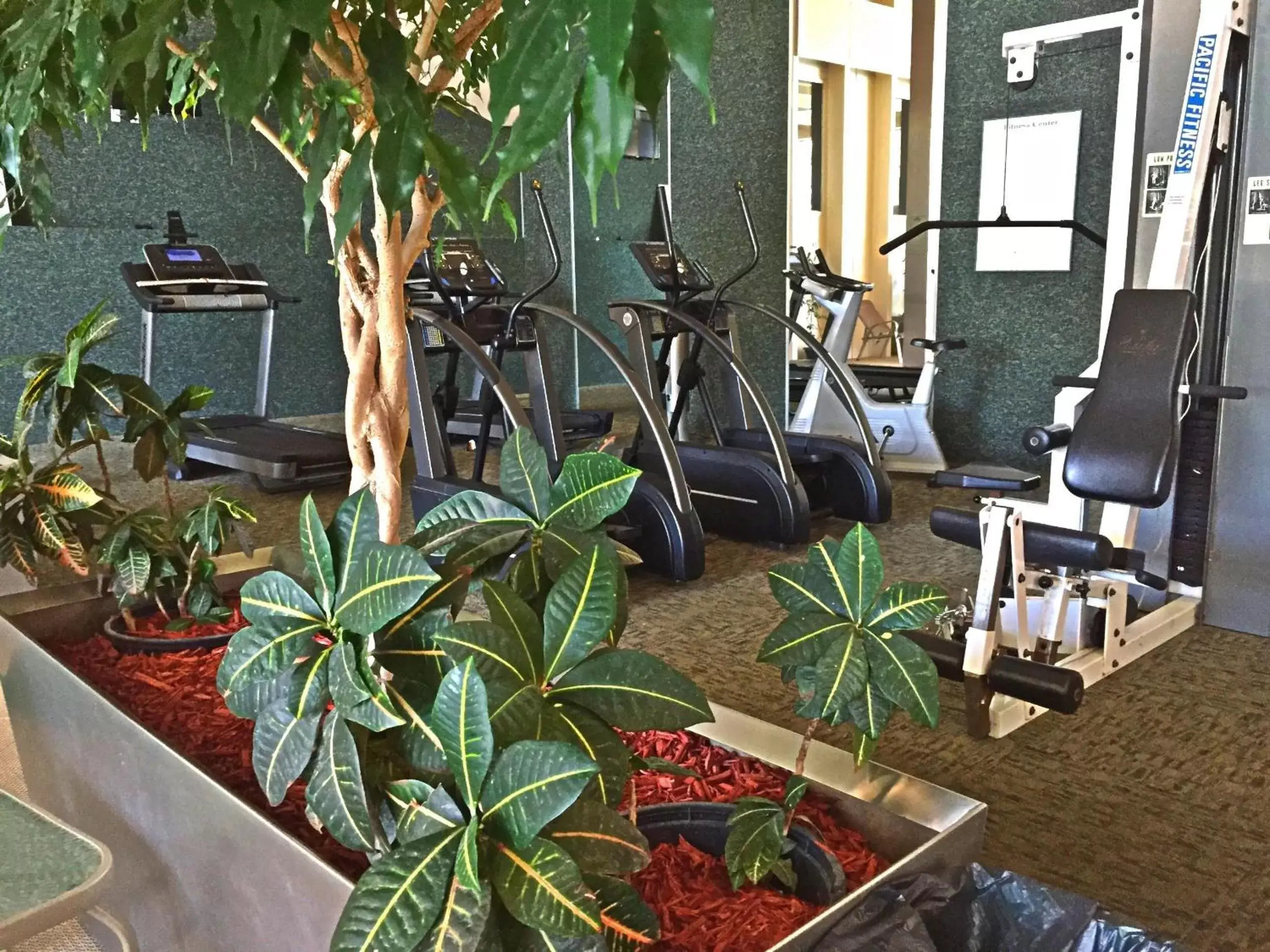 Fitness centre/facilities, Fitness Center/Facilities in Greenwell Inn