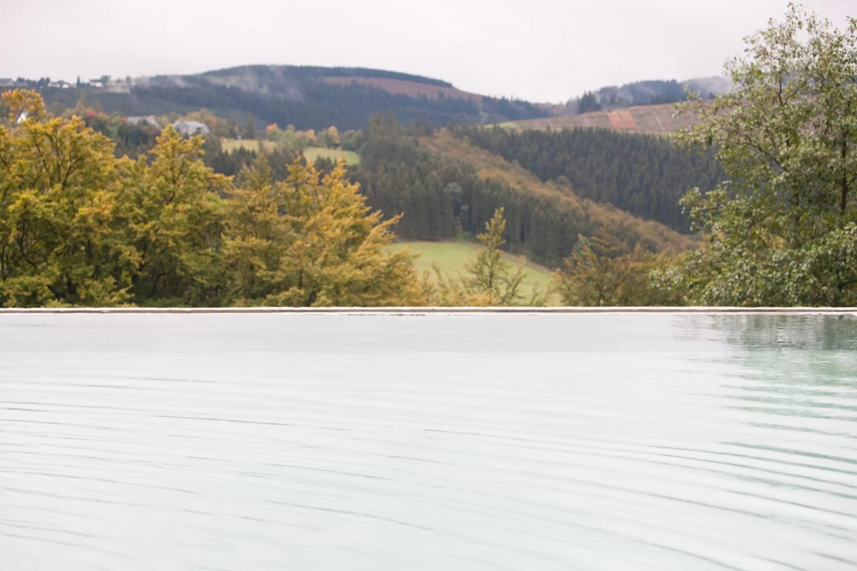 Day in Waldhaus Ohlenbach