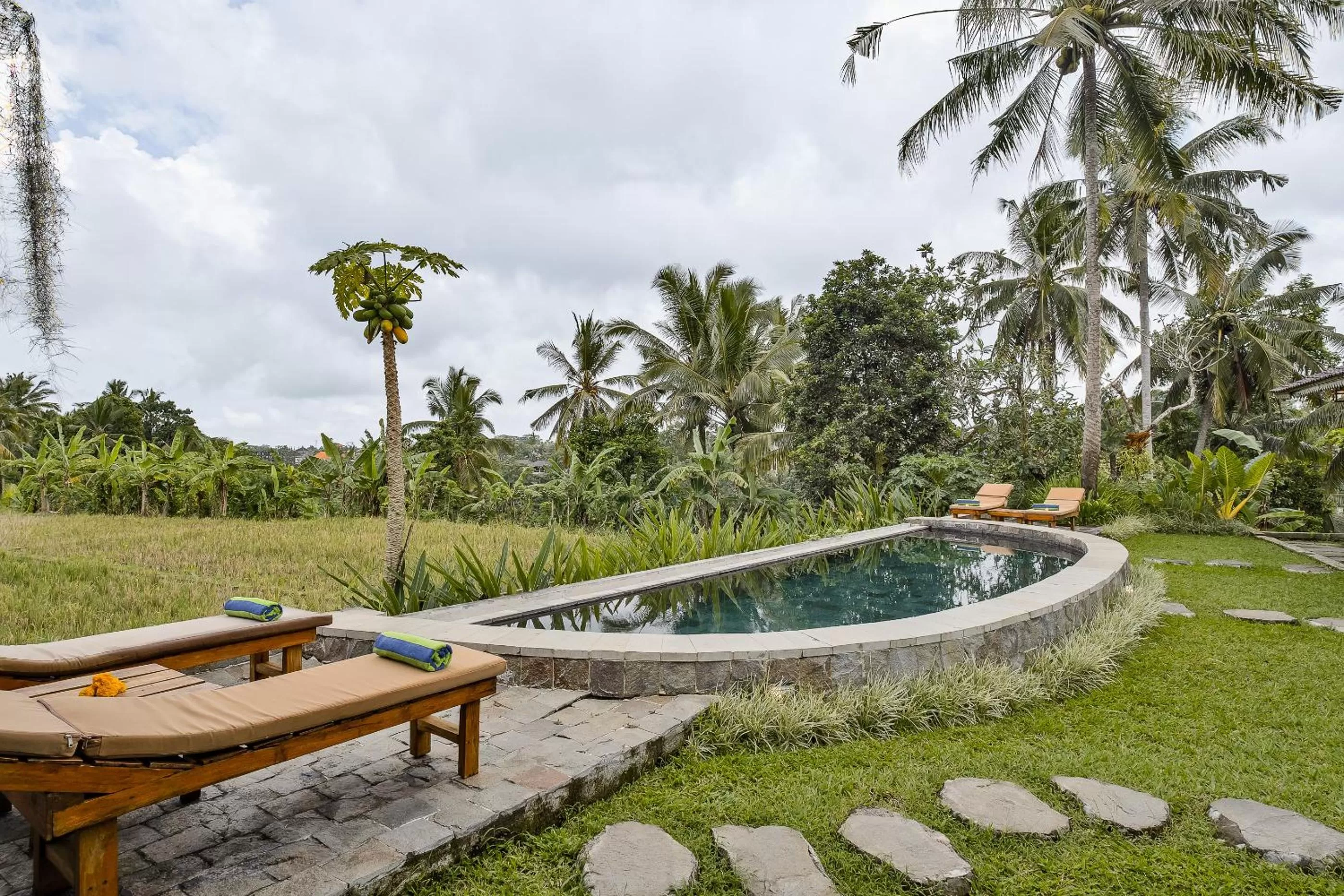 Garden in Joglo Organik Guesthouse