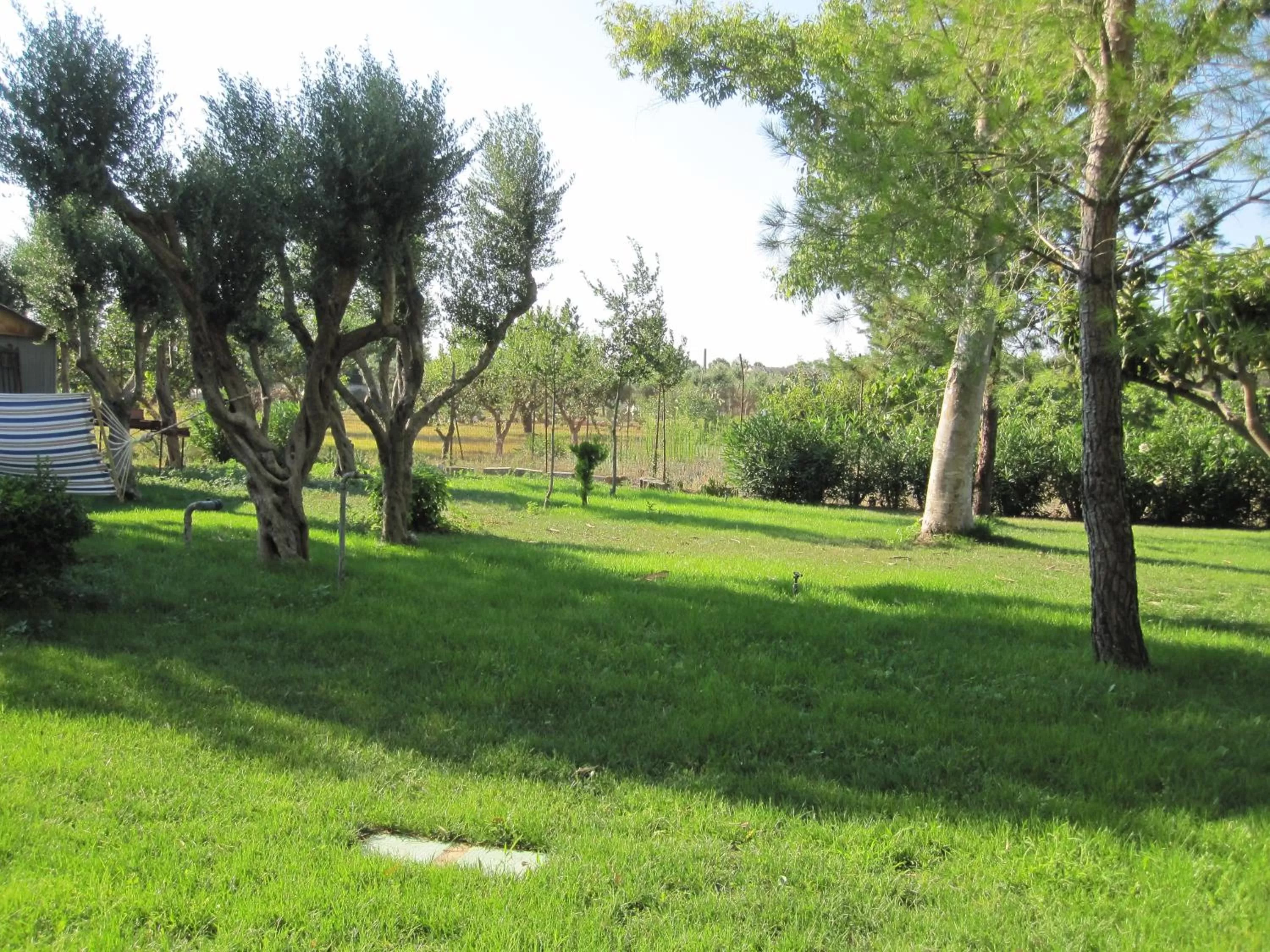 Garden in b&b Casale Vecchio Lecce