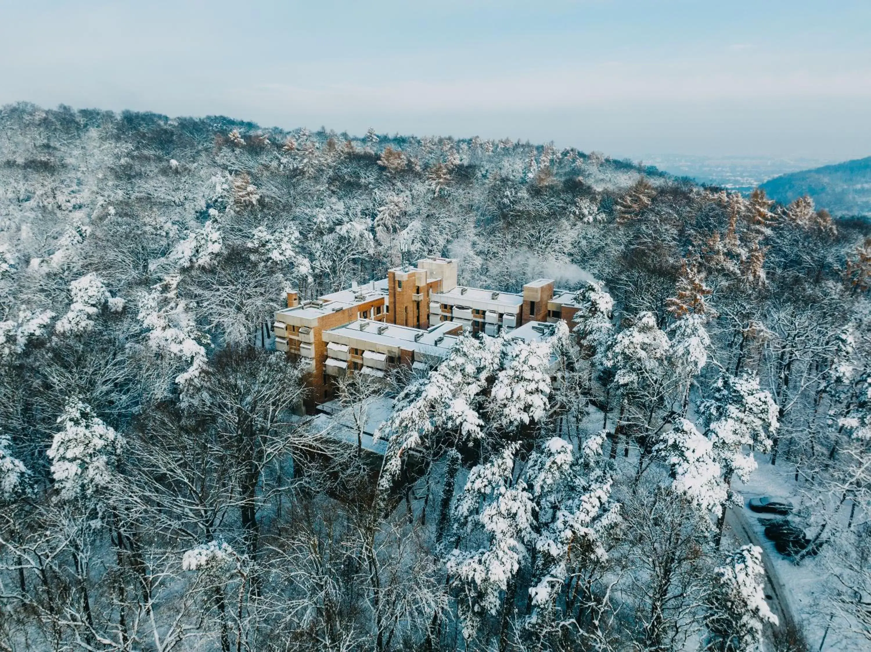 Property building, Winter in Forest Hotel