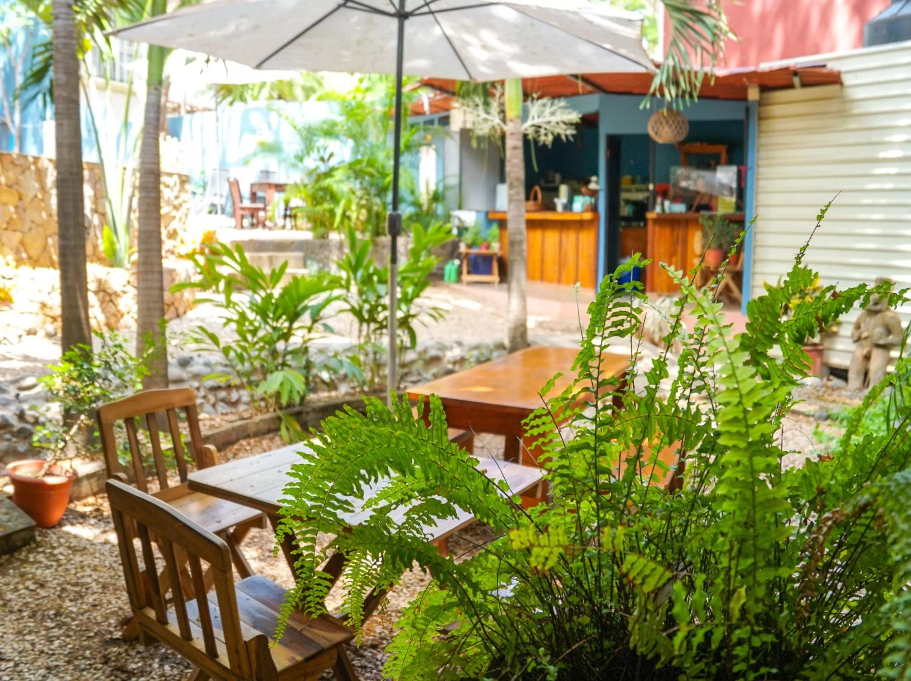 Garden in Hotel Boruca Tamarindo