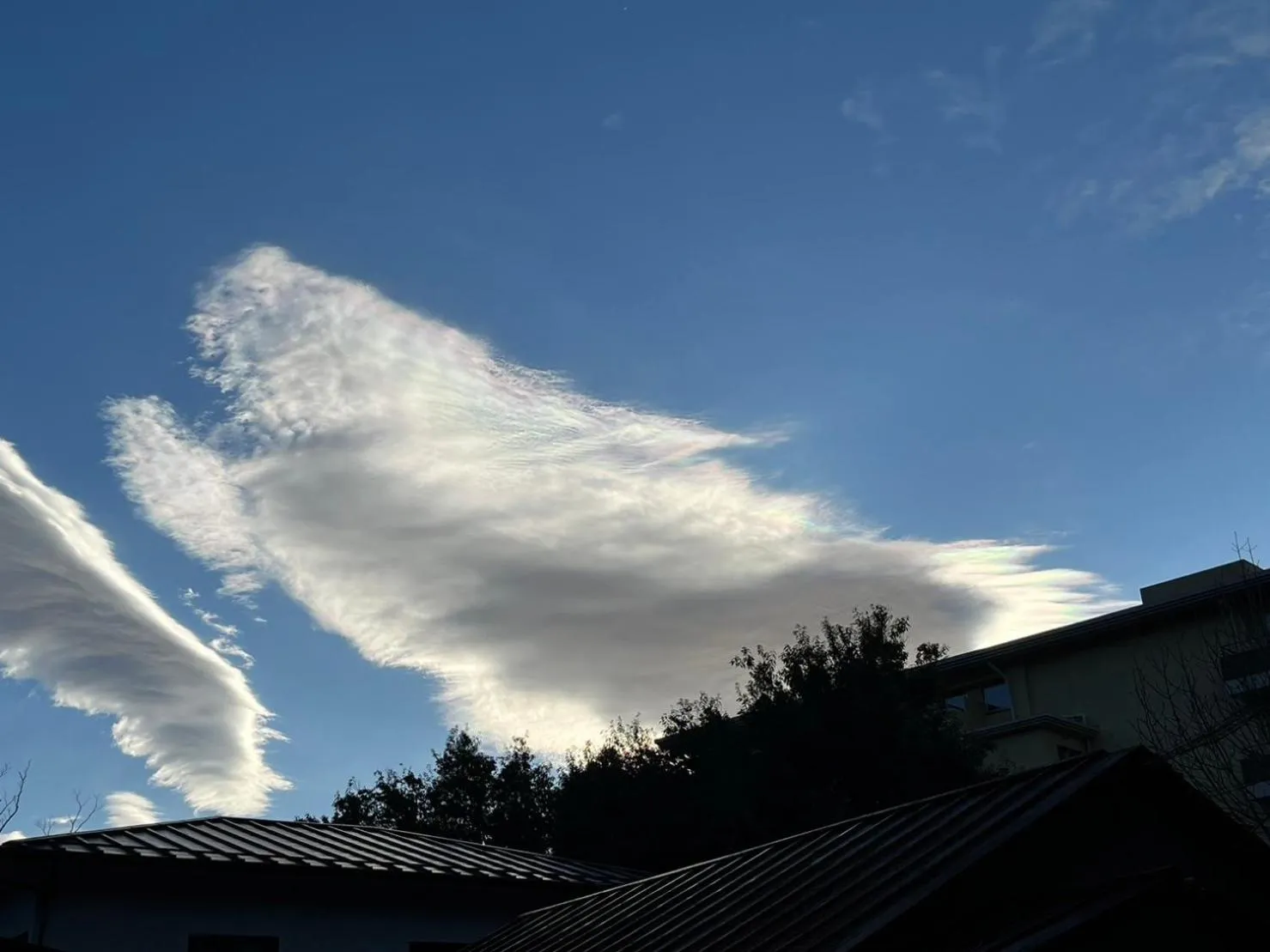 Natural landscape in Fuji-Hakone Guest House