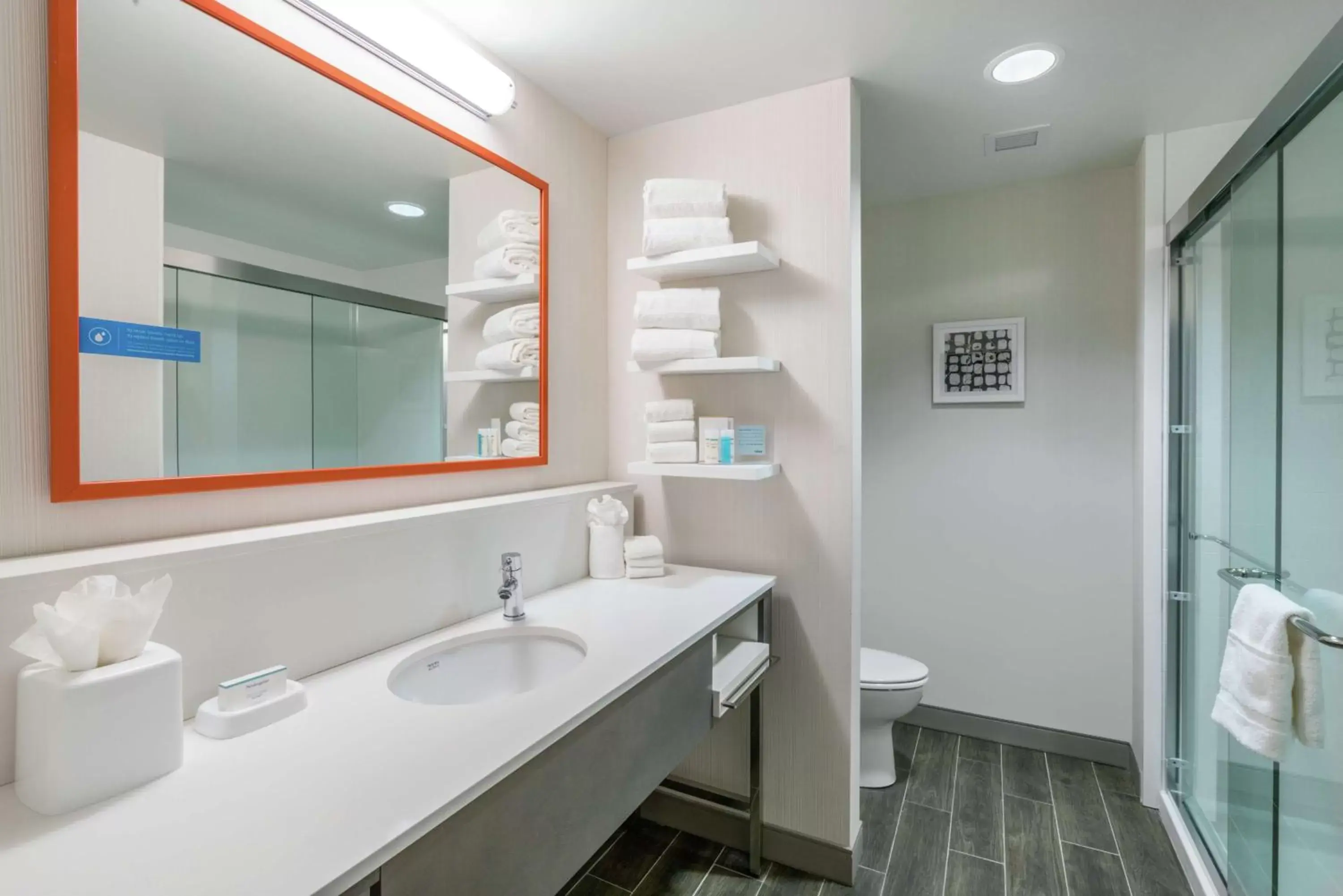 Bathroom in Hampton Inn & Suites Glenarden/Washington DC