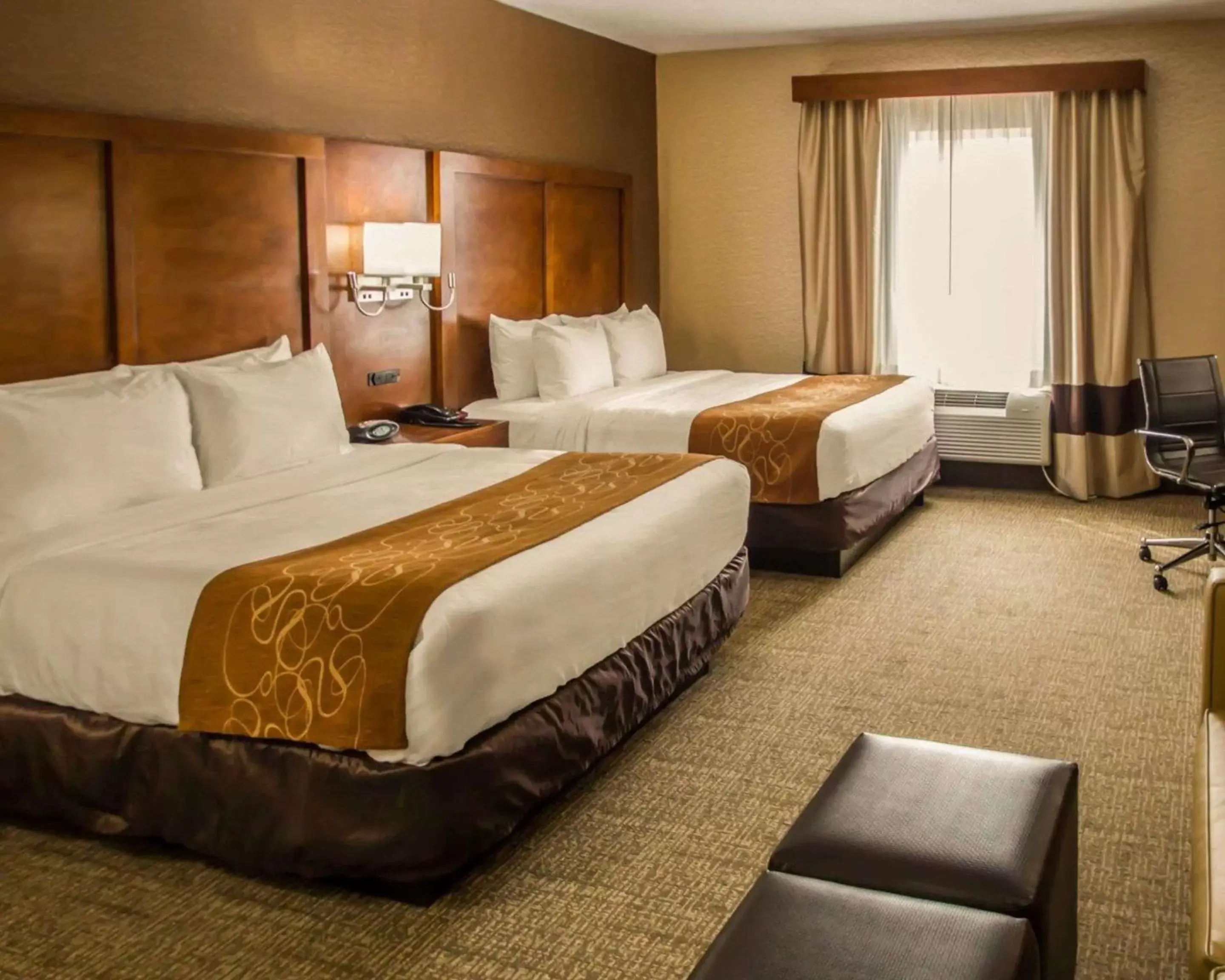 Photo of the whole room, Bed in Quality Suites NYC Gateway Photo of the whole room, Bed in Quality Suites NYC Gateway