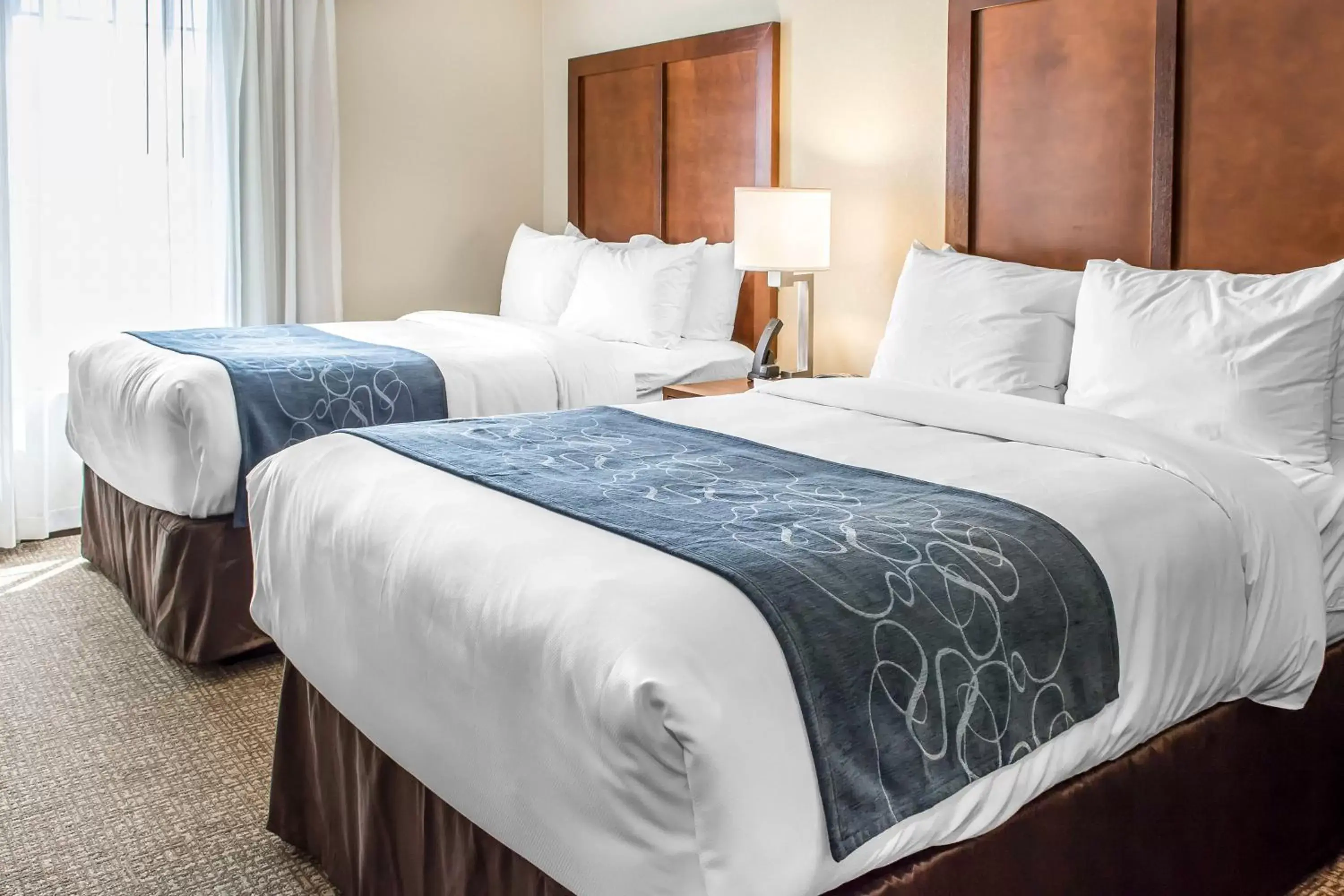 Guests, Bed in Comfort Suites Near Potomac Mills