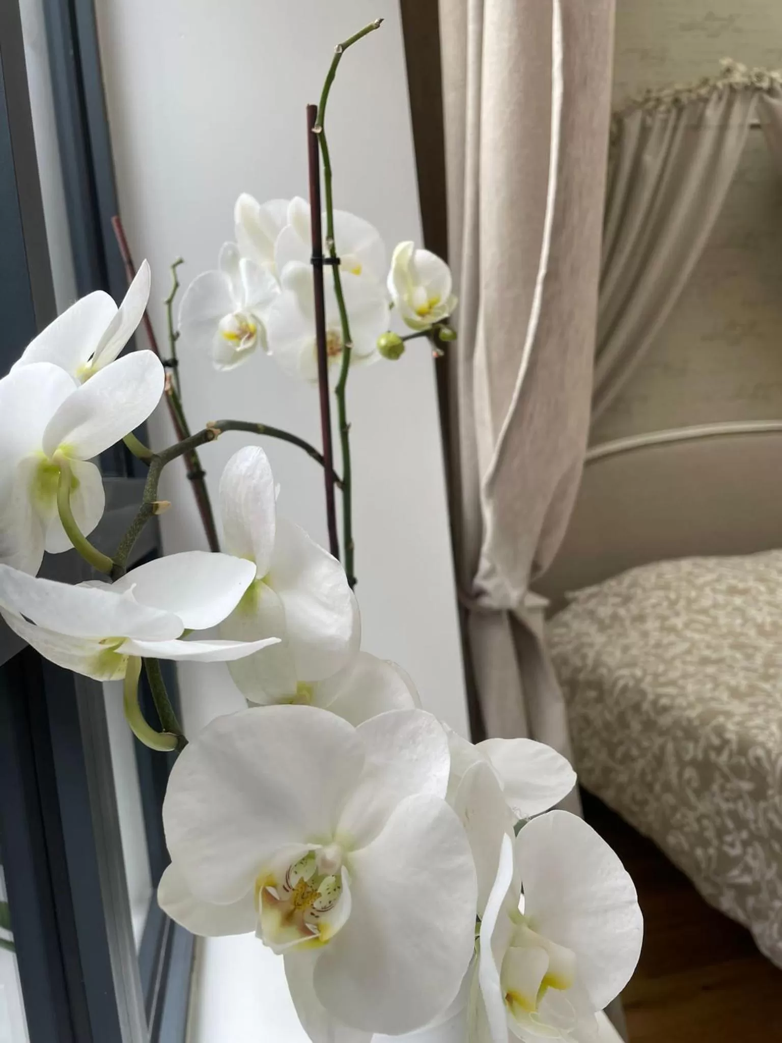 Bedroom, Bed in Maison d'hotes L'atelier du Charmois