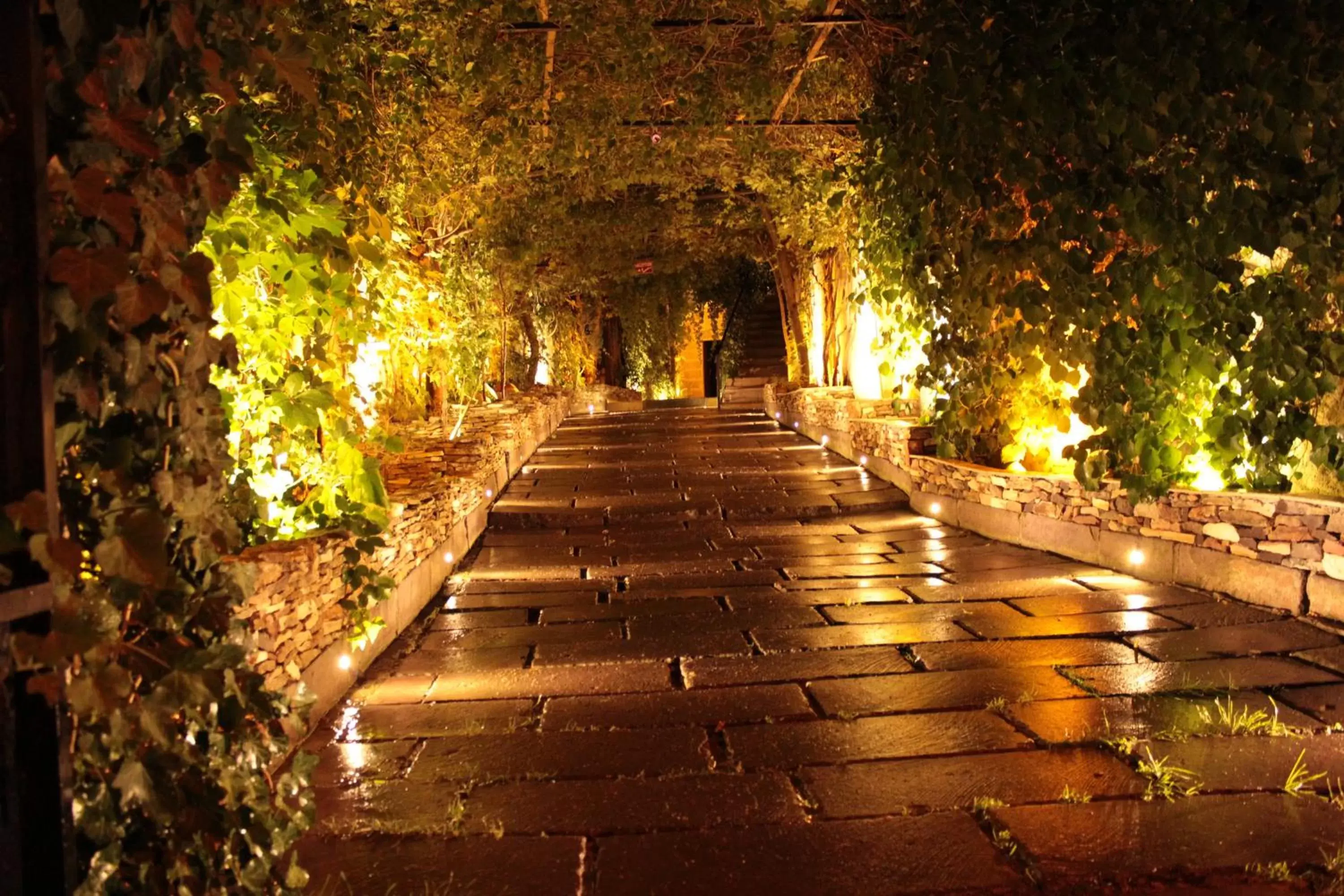 Facade/entrance, Garden in Local Cave House Hotel