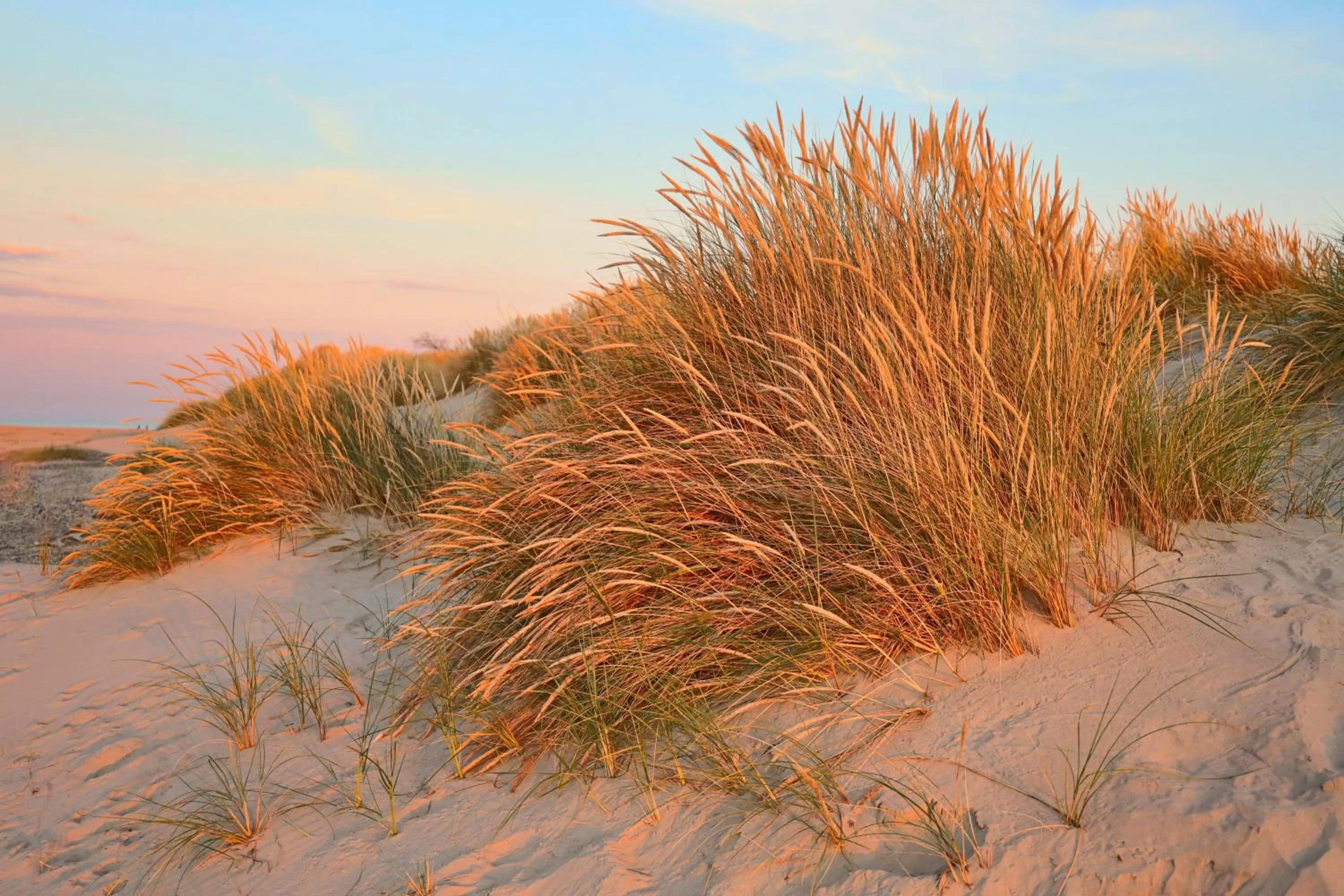 Beach in Hotel Strandly Skagen