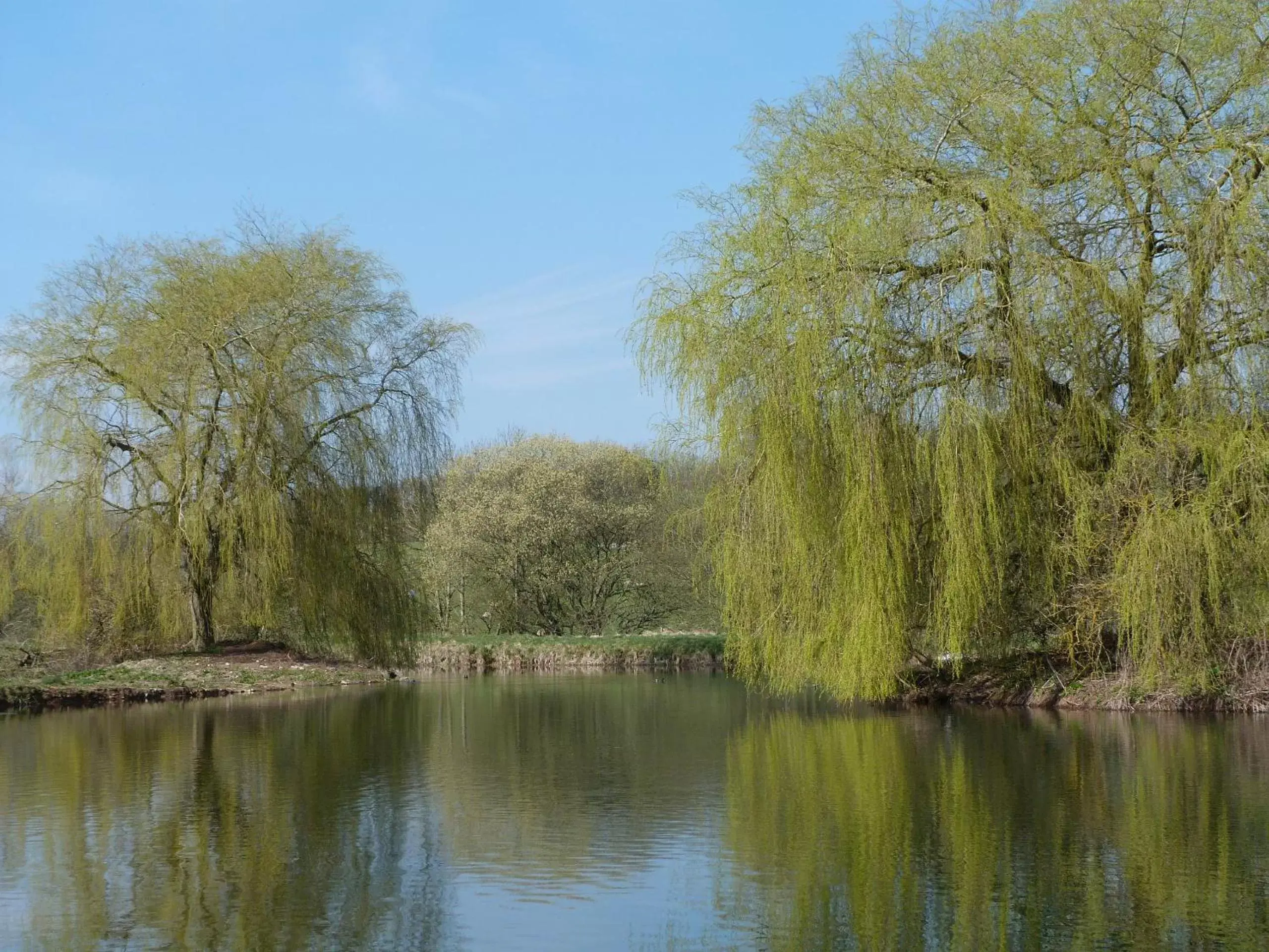 Natural Landscape in Cameley Lodge - Self Catering