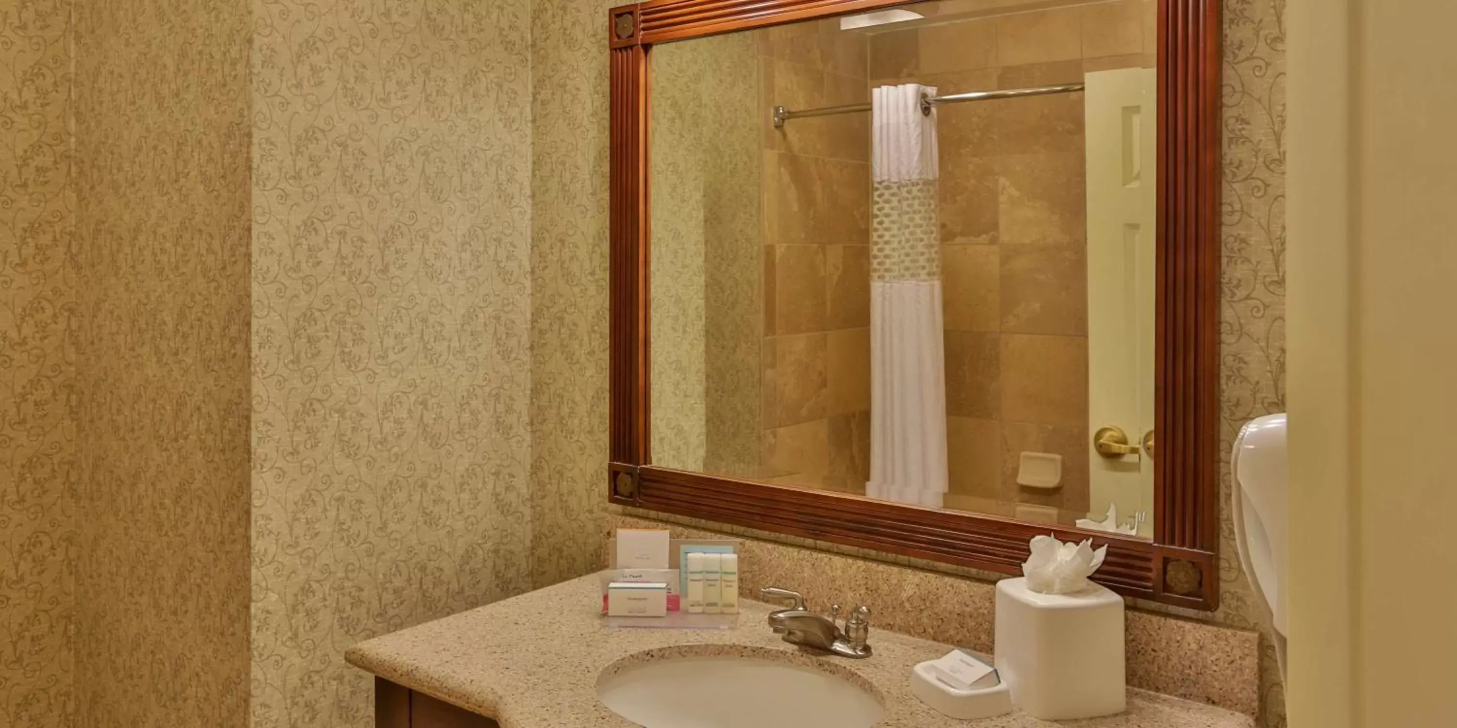 Bathroom in Hampton Inn & Suites Savannah Historic District