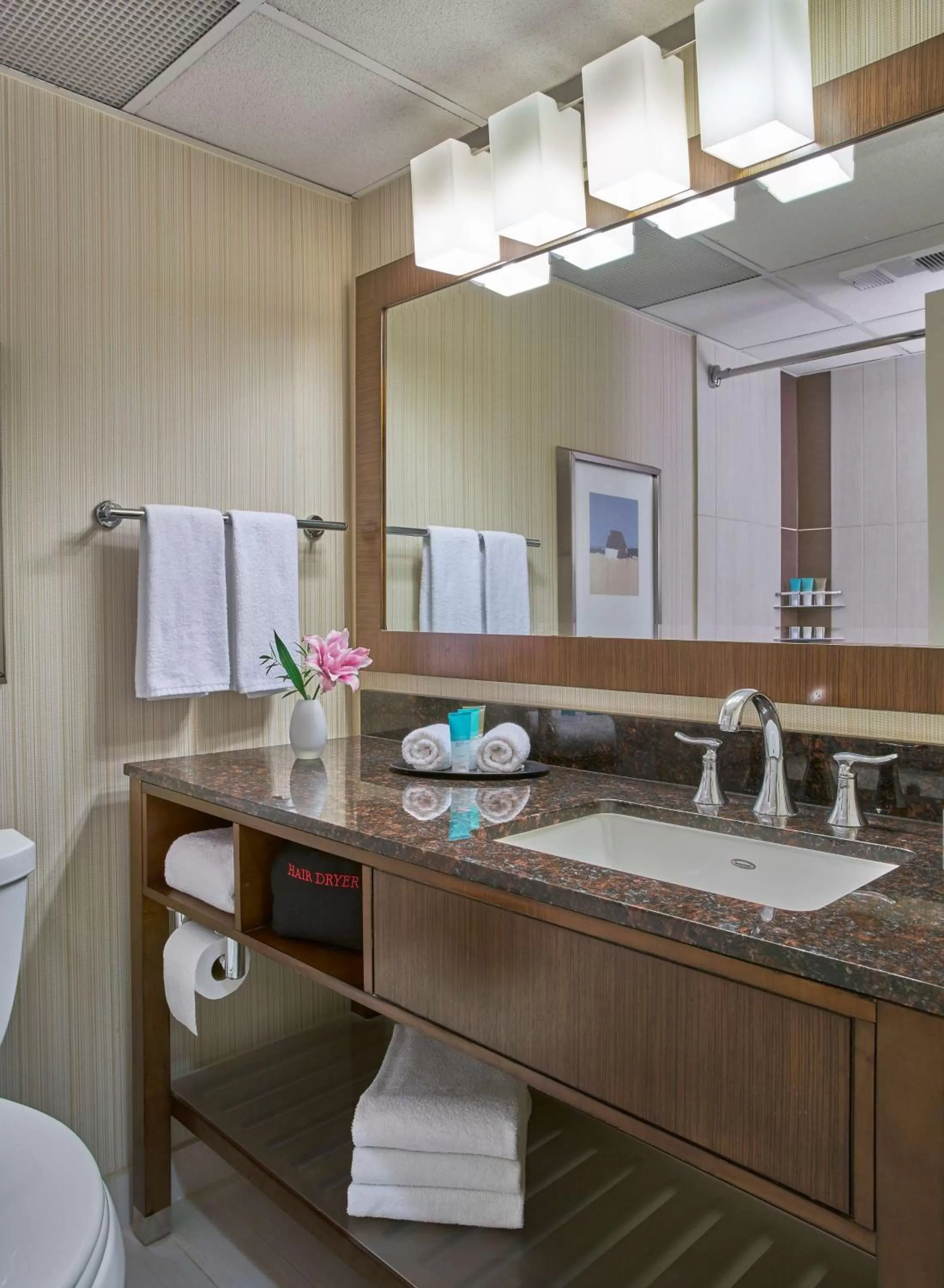 Bathroom in Hyatt Regency Milwaukee