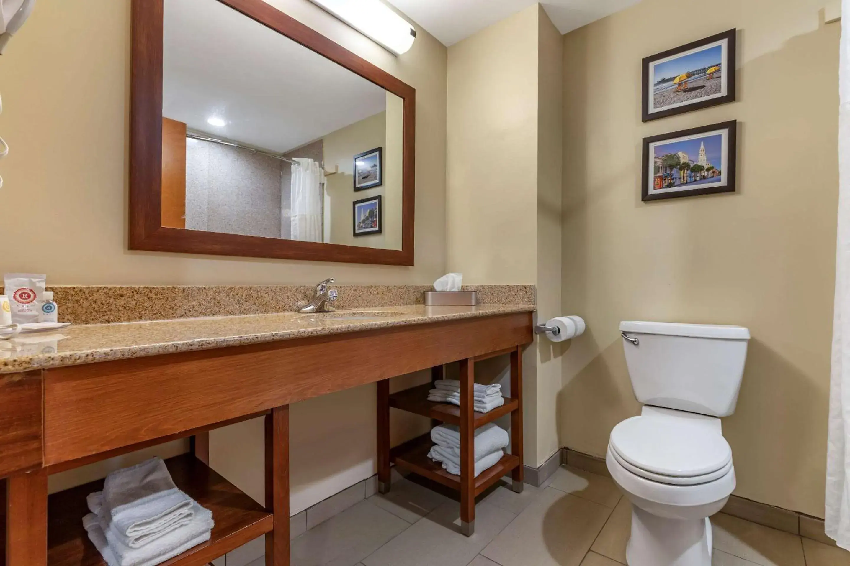 Bathroom in Comfort Inn & Suites Orangeburg